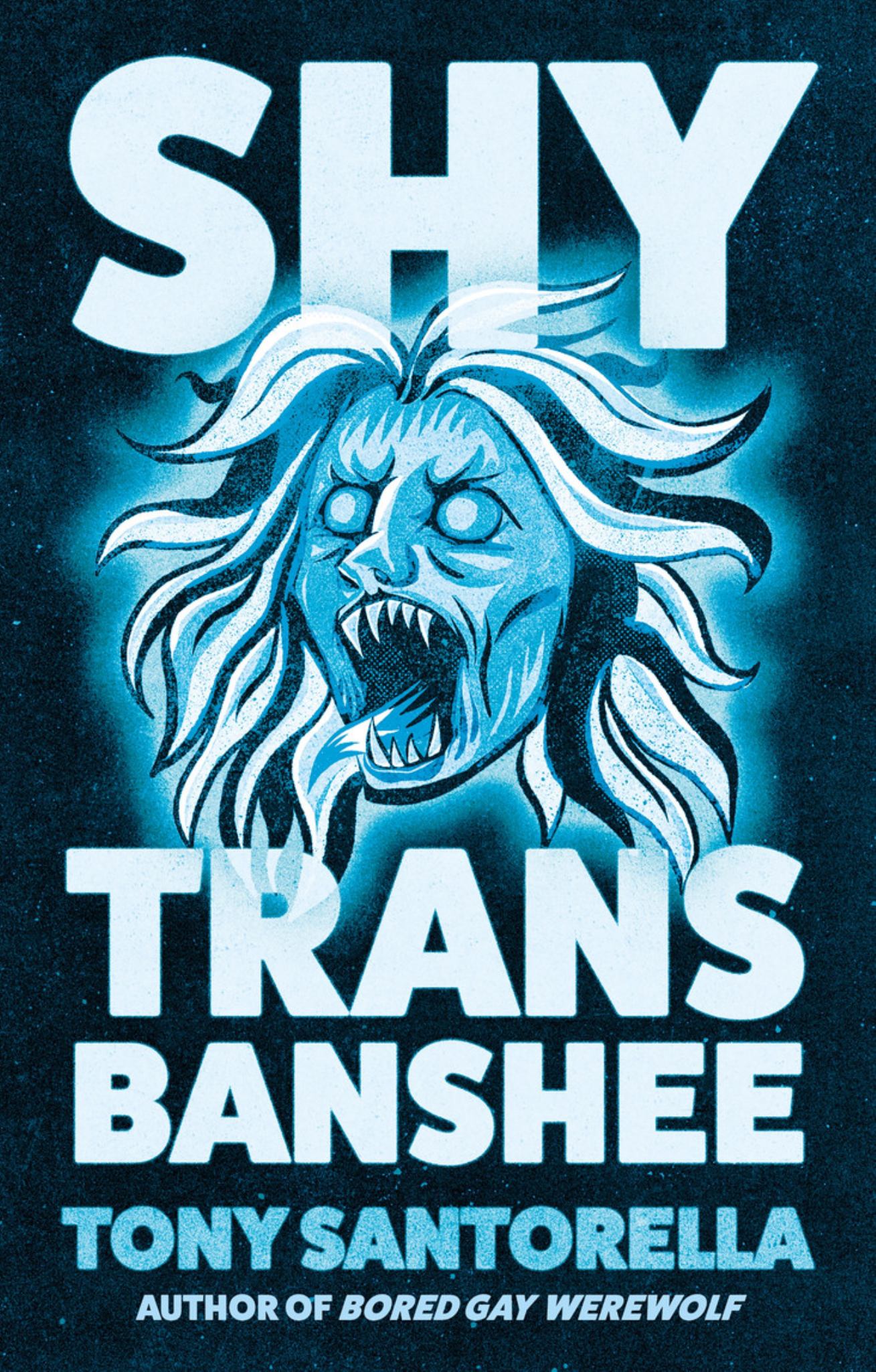 Shy Trans Banshee Cover Image