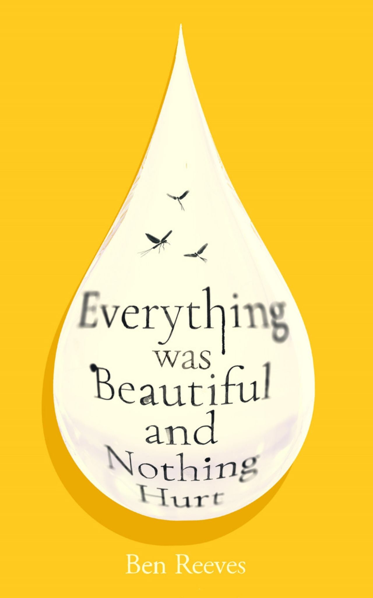 Everything Was Beautiful and Nothing Hurt Cover Image