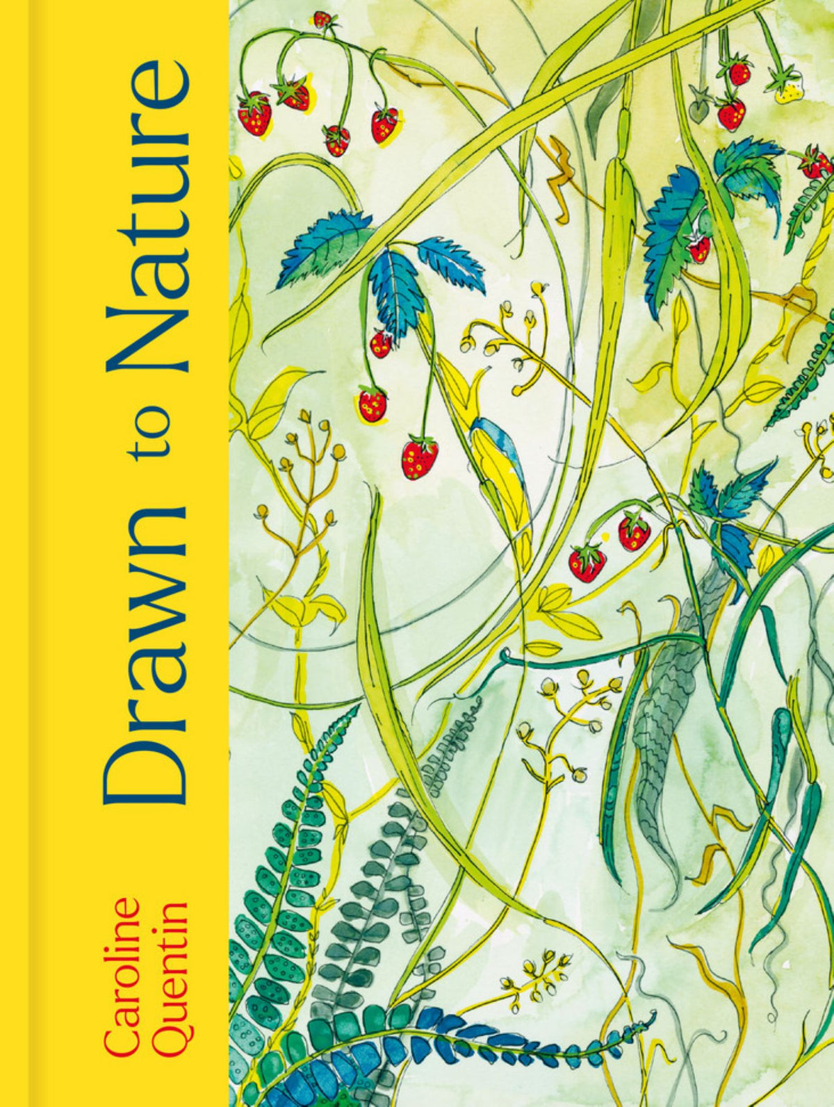 Drawn to Nature Cover Image