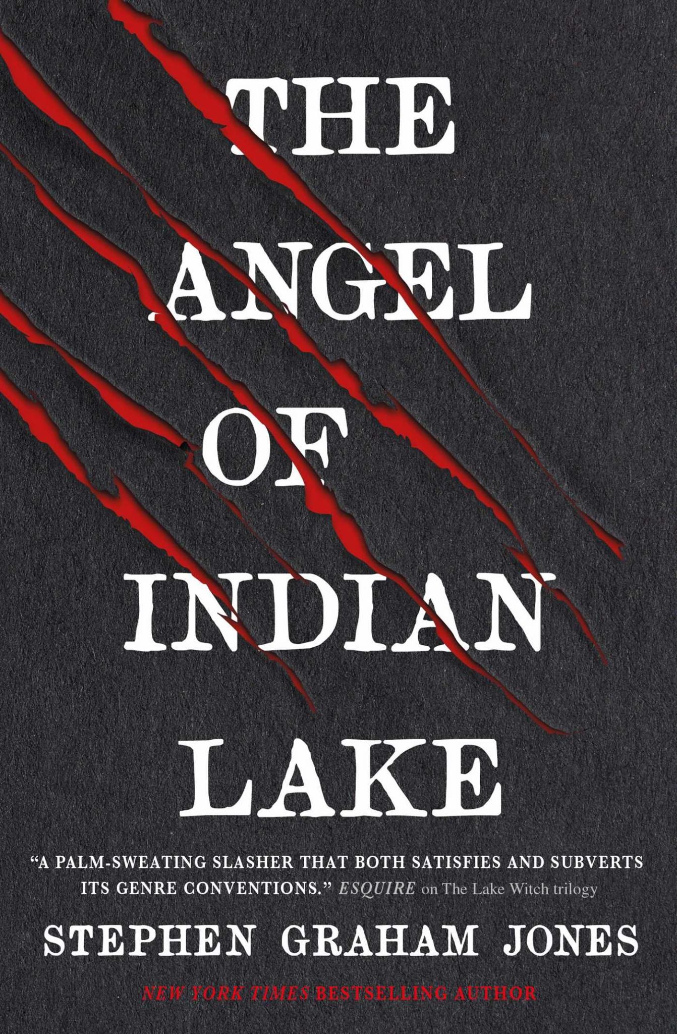 The Angel of Indian Lake Cover Image