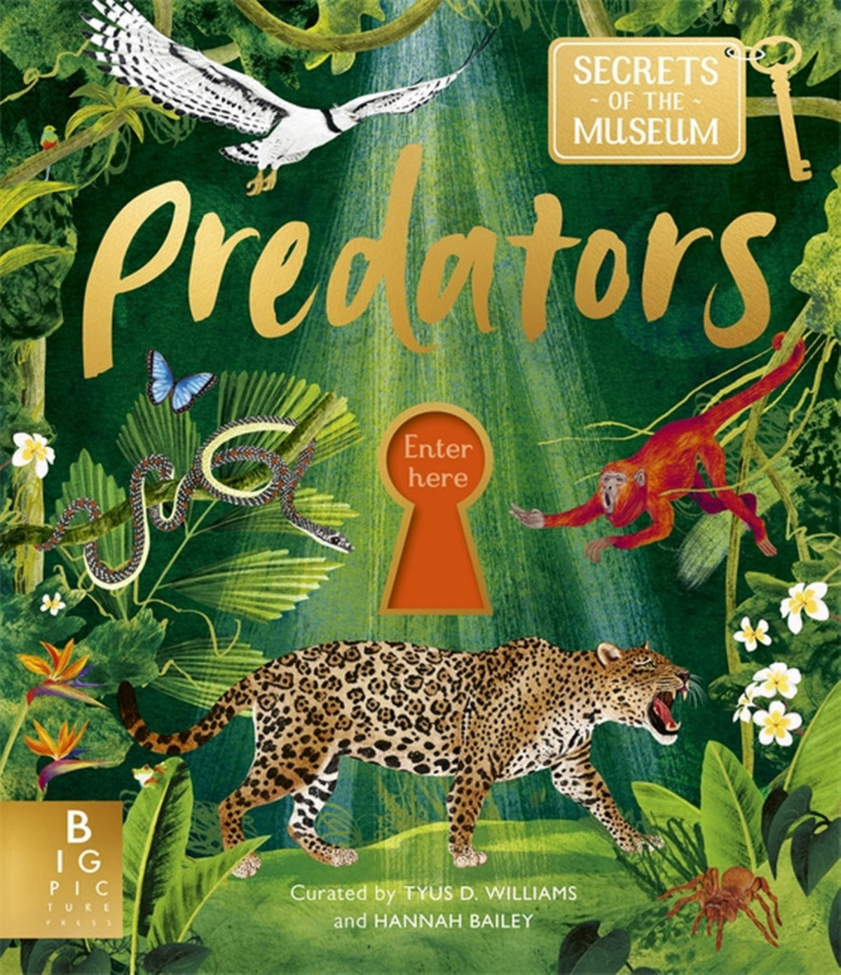 Predators (Secrets of the Museum) Cover Image