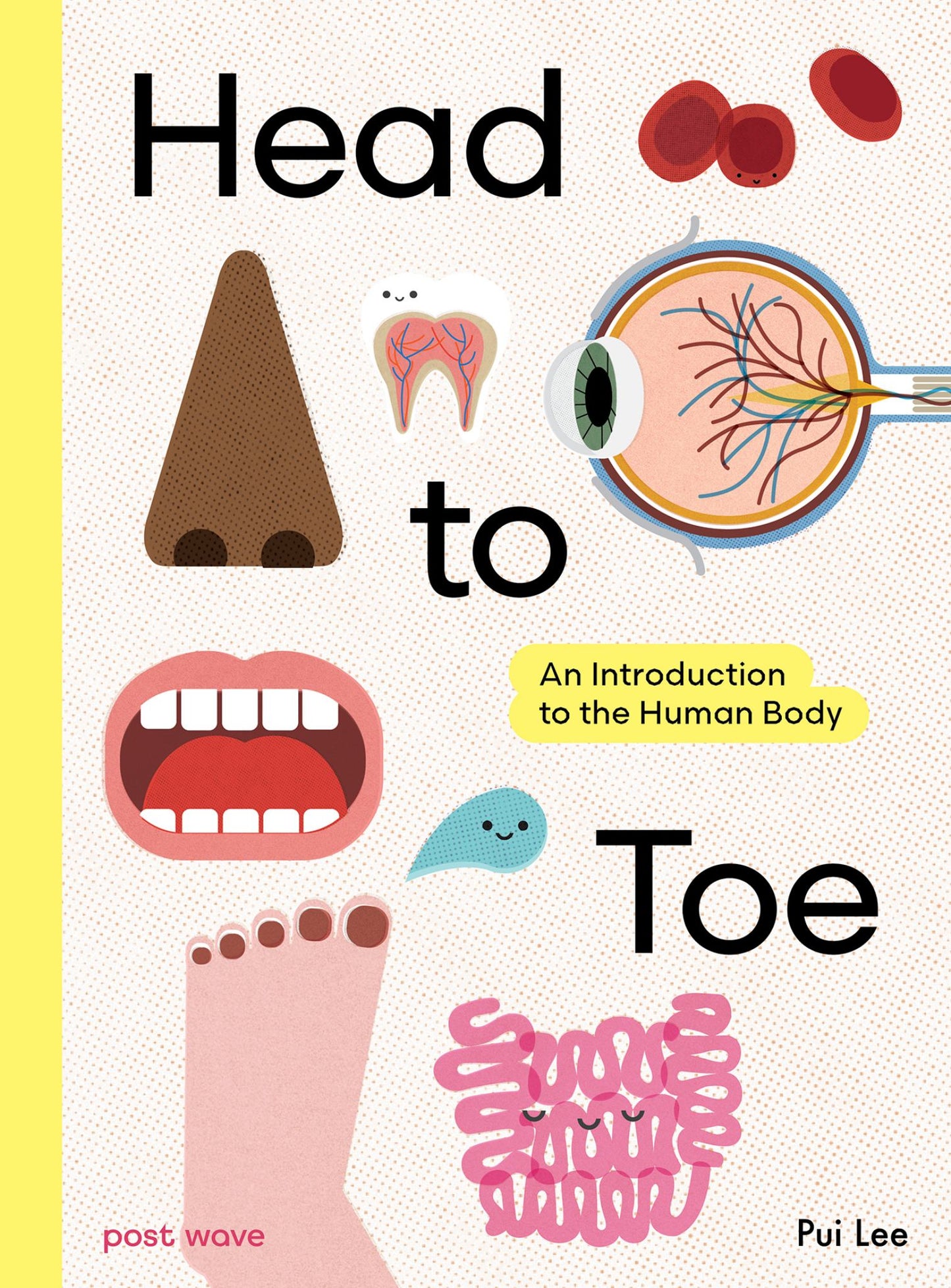 Head to Toe Cover Image