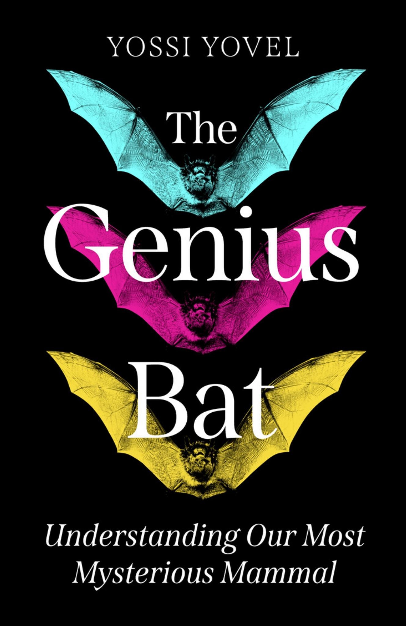 The Genius Bat Cover Image