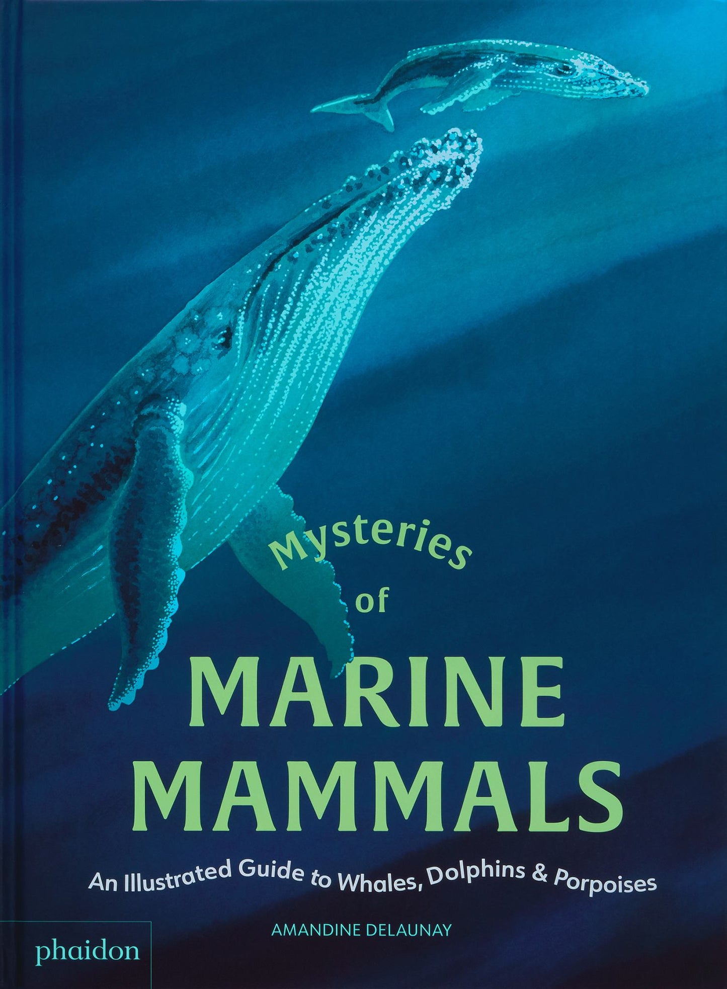 Mysteries of Marine Mammals Cover Image