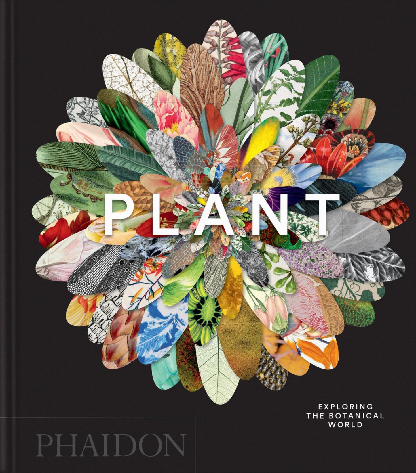 Plant Cover Image