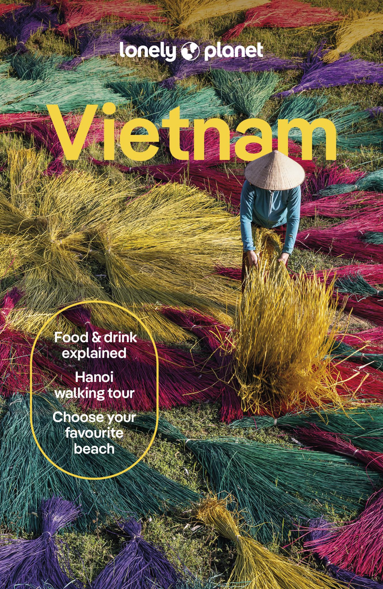 Lonely Planet Vietnam Cover Image
