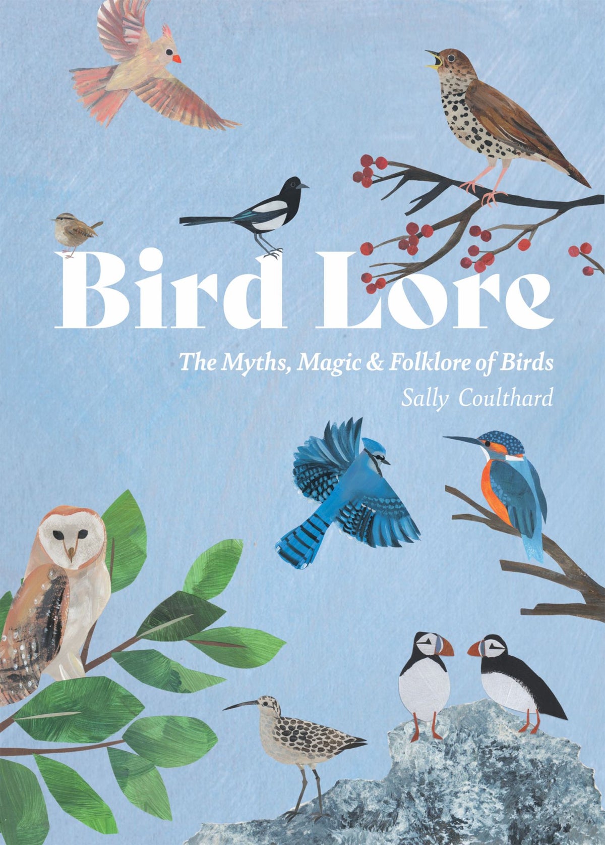 Bird Lore Cover Image