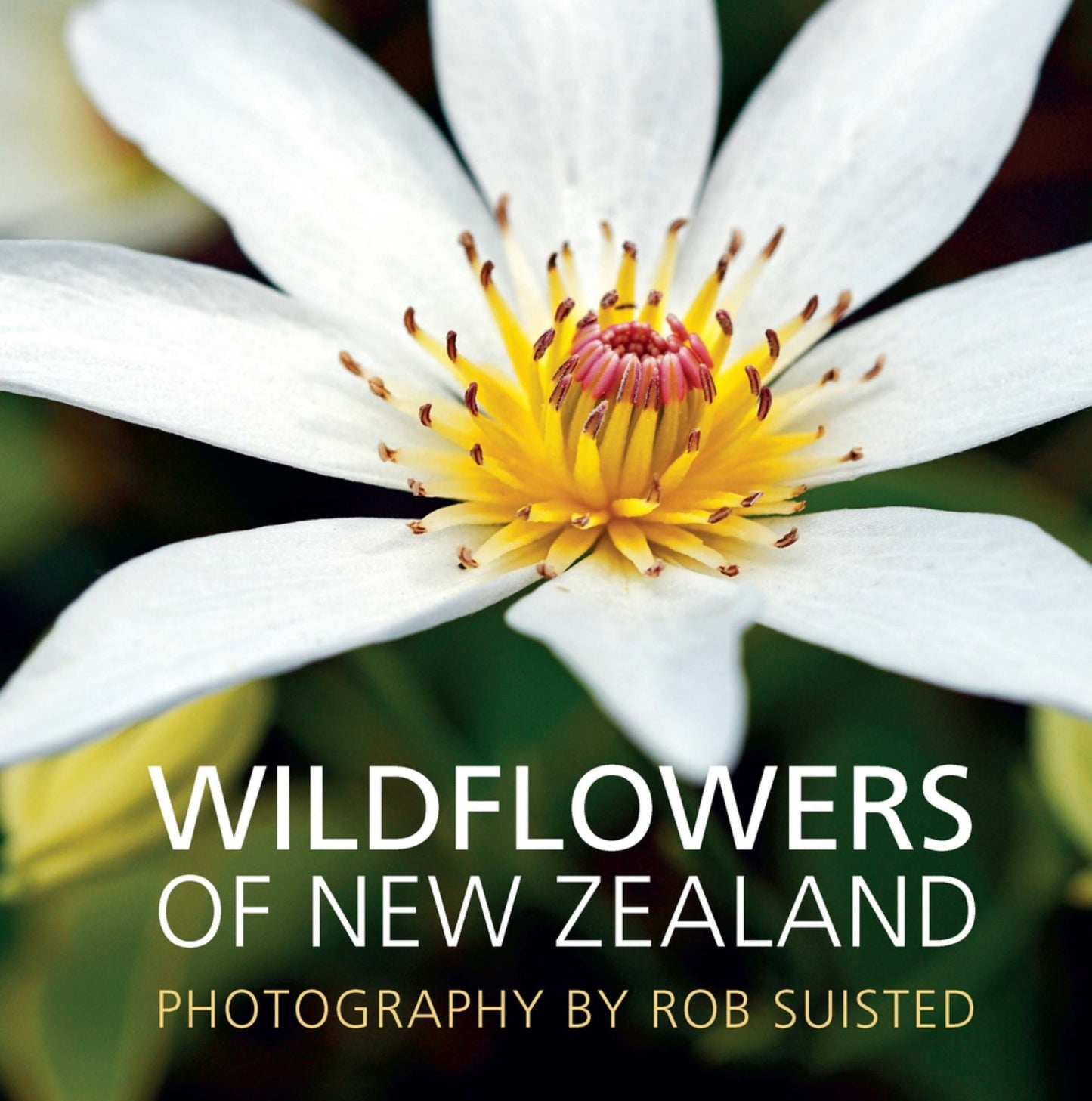 Wildflowers of New Zealand Cover Image