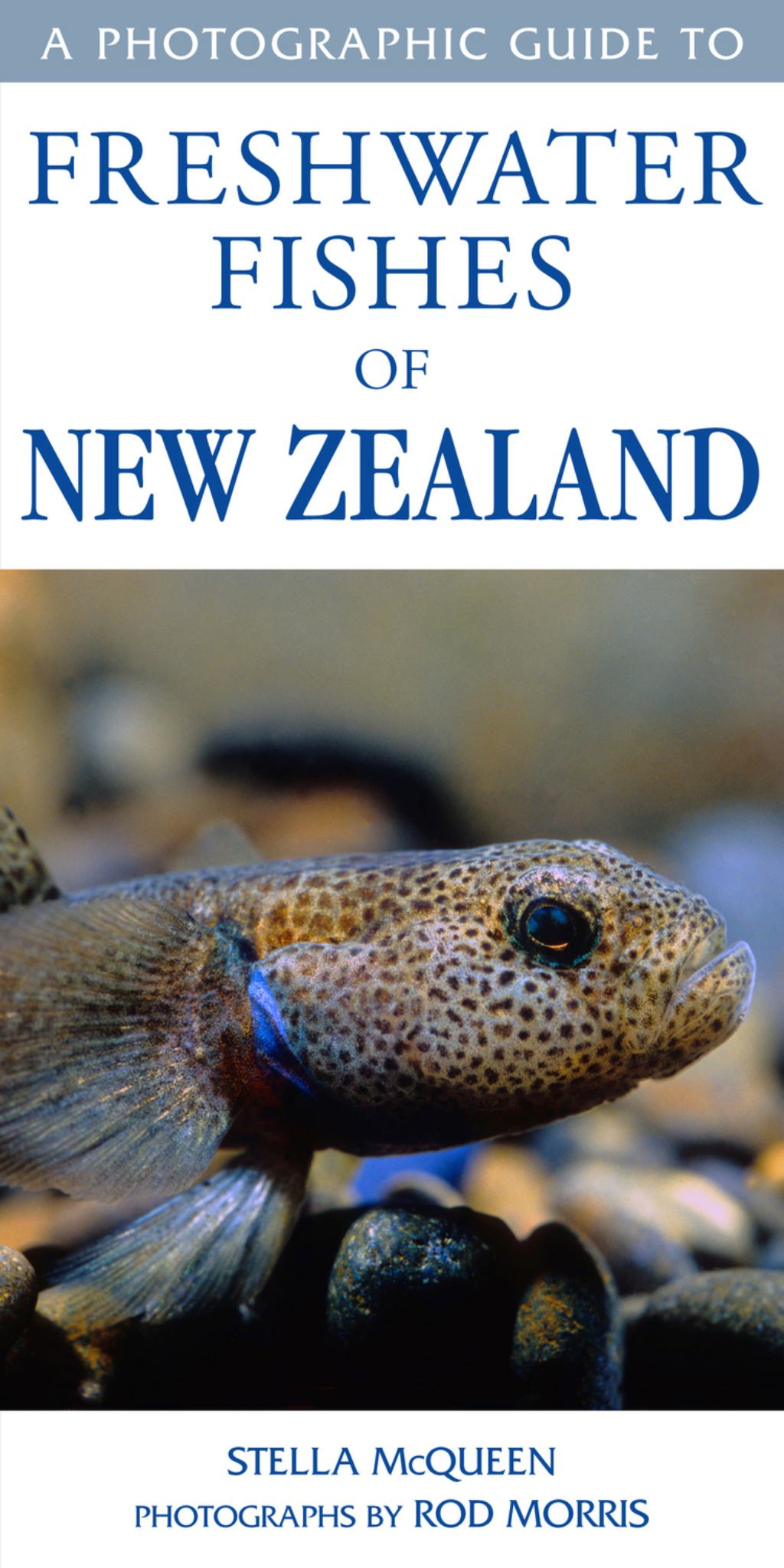 A Photographic Guide to Freshwater Fishes of New Zealand Cover Image