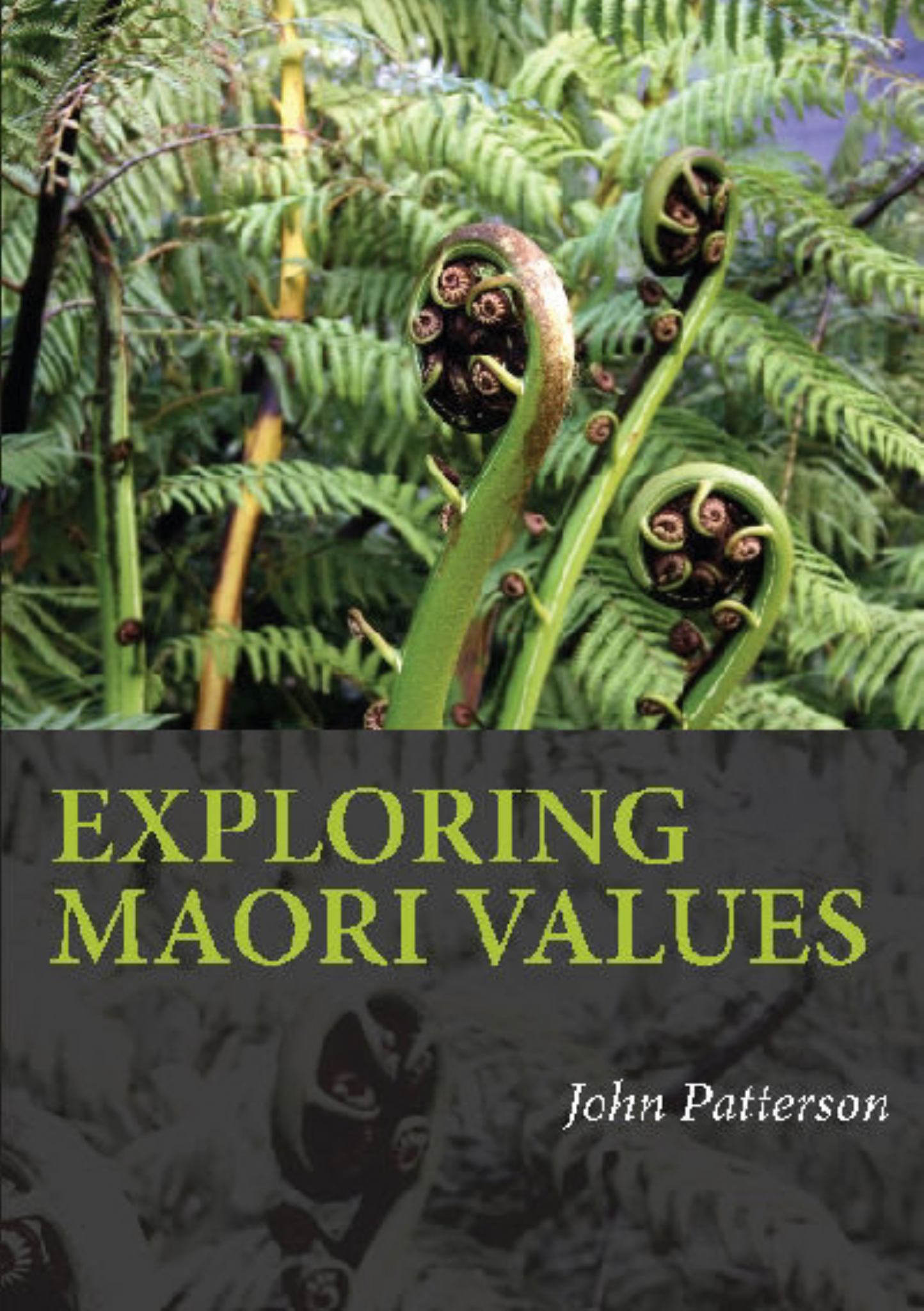 Exploring Maori Values Cover Image