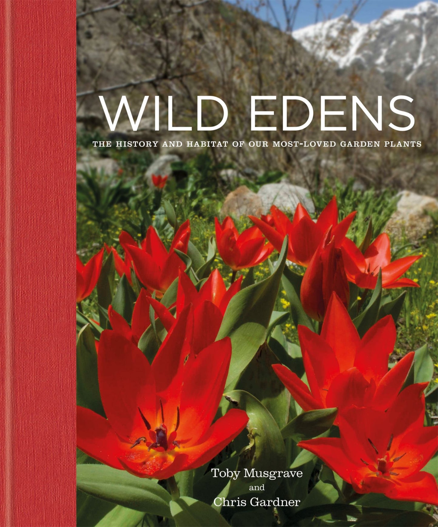 Wild Edens Cover Image
