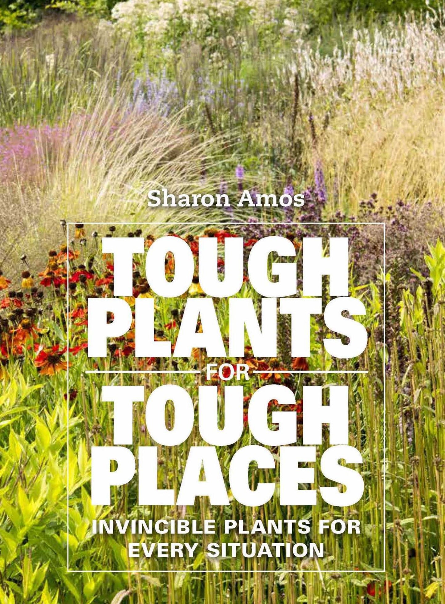 Tough Plants for Tough Places Cover Image
