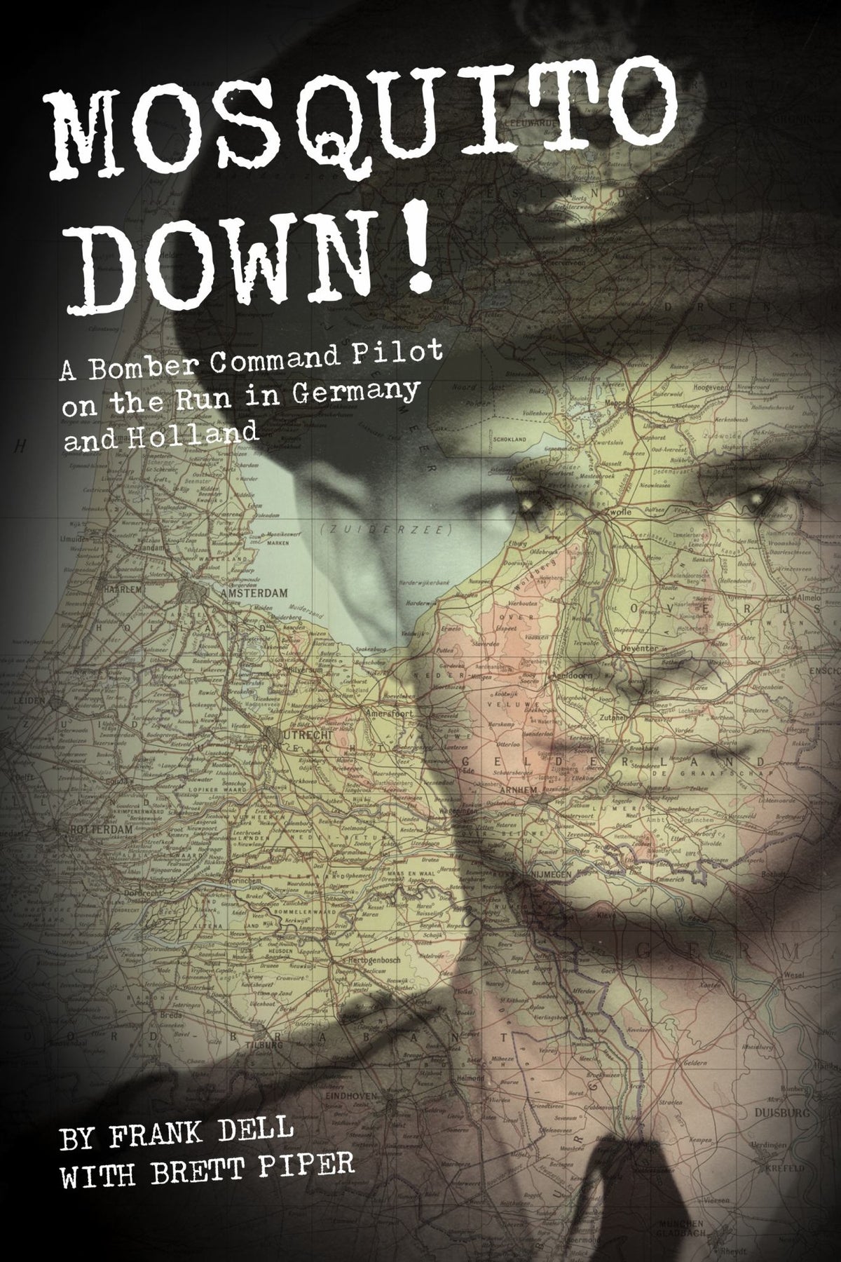 Mosquito Down! Cover Image