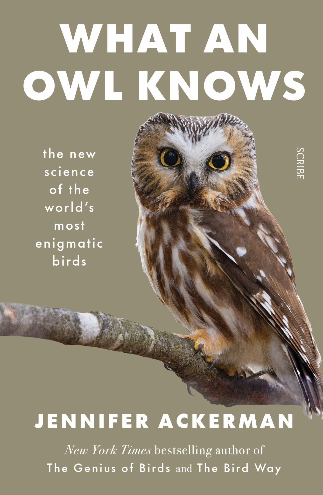 What an Owl Knows Cover Image
