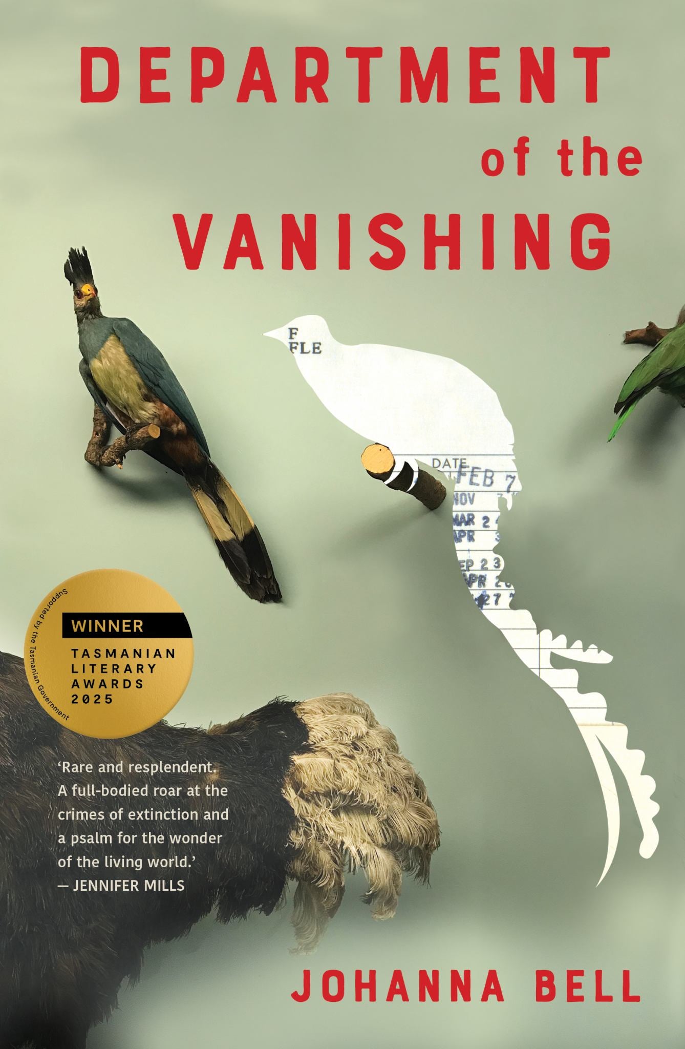 Department of the Vanishing Cover Image