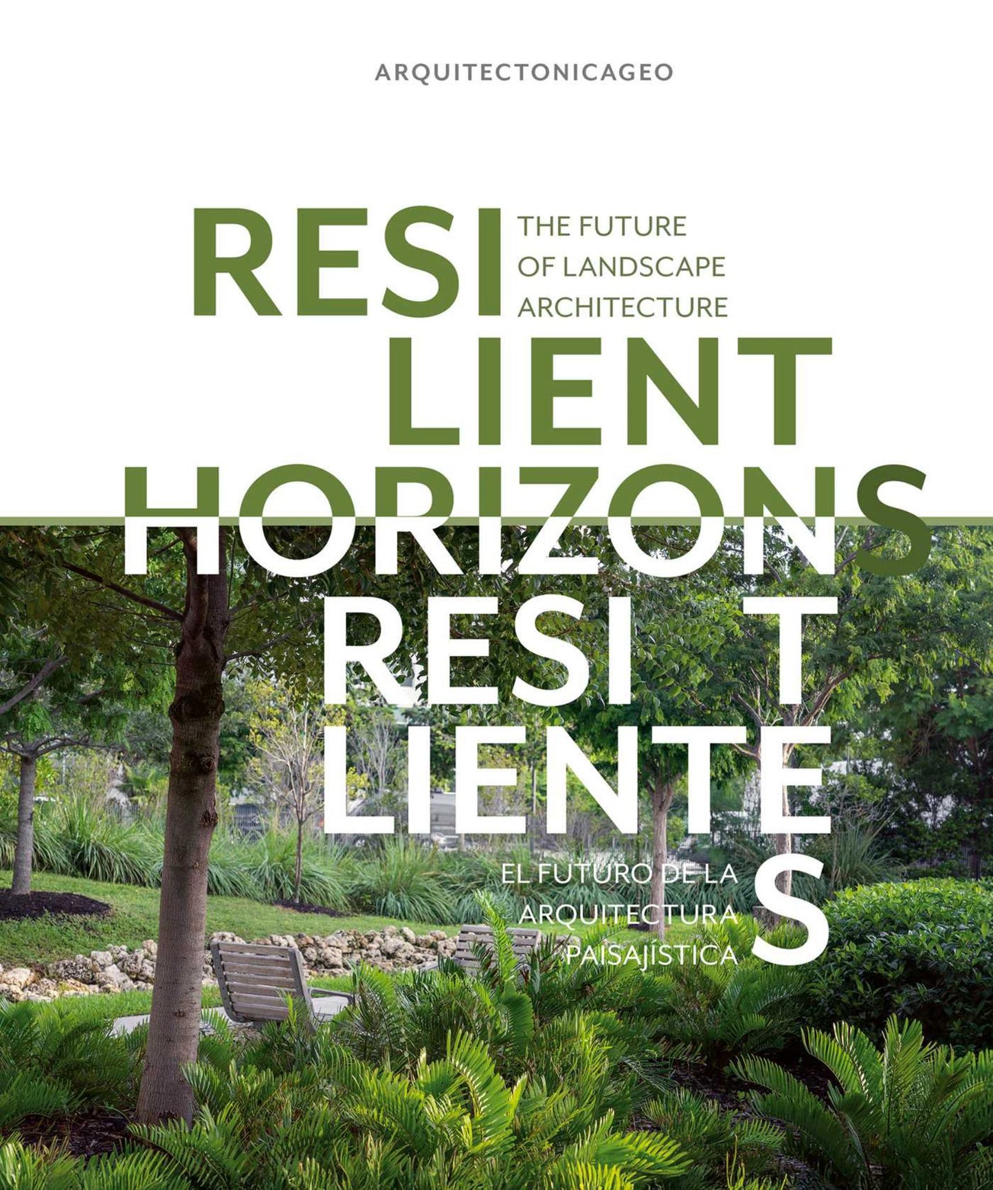 Resilient Horizons Cover Image