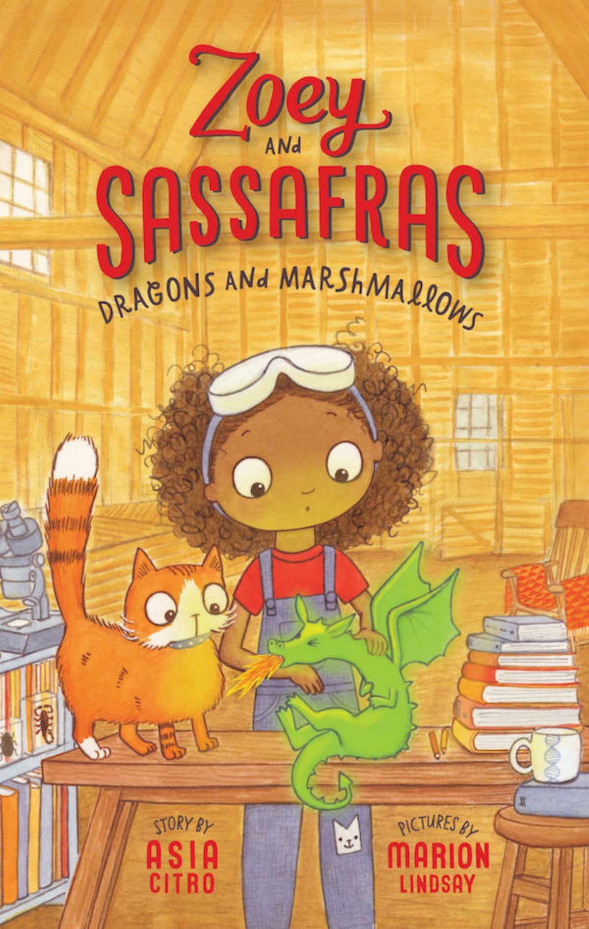 Dragons and Marshmallows Cover Image