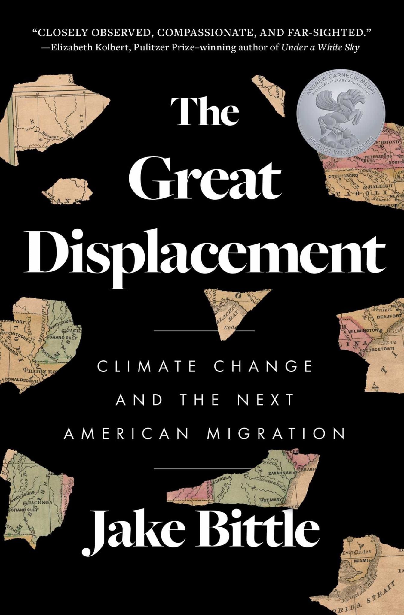 The Great Displacement Cover Image