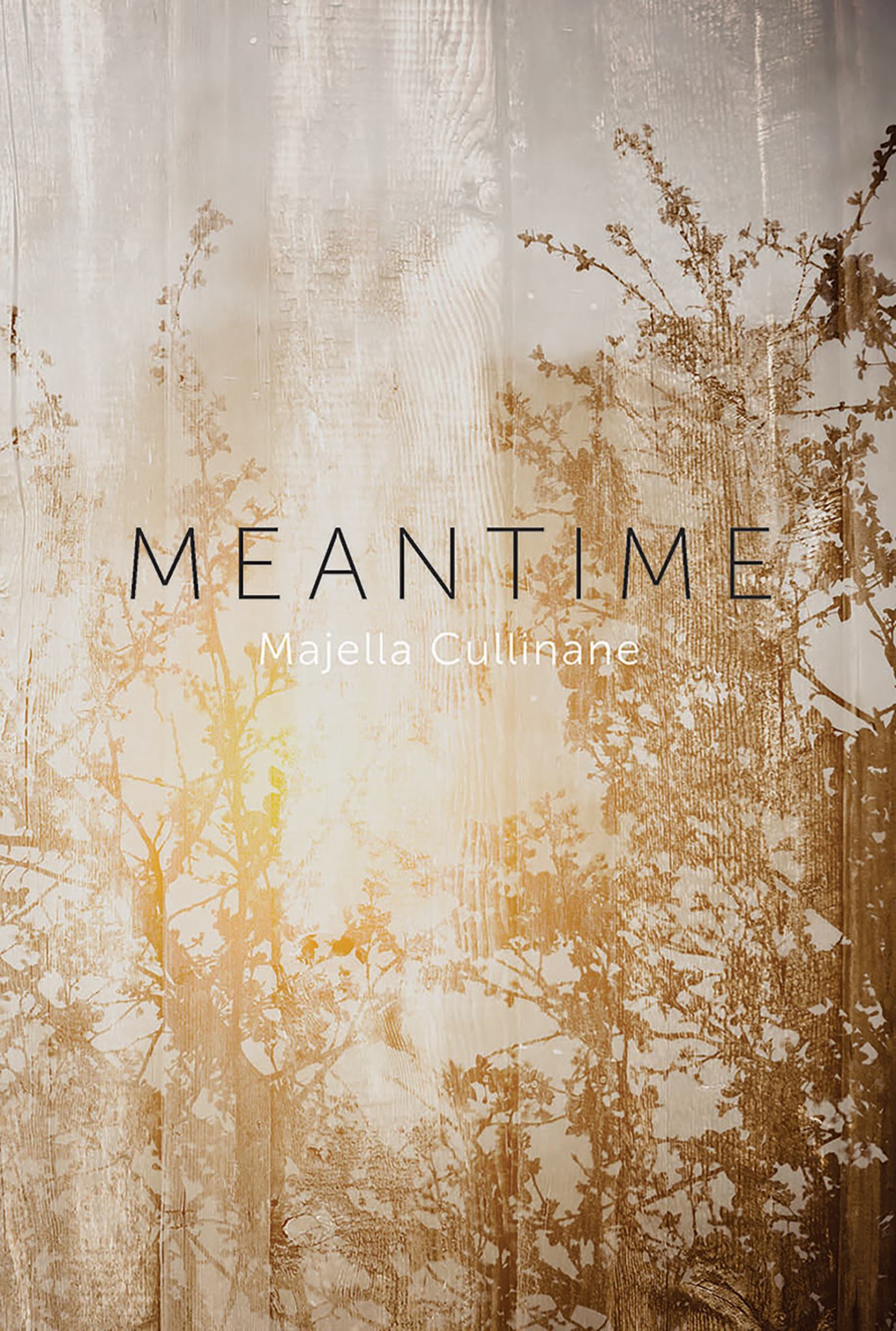 Meantime Cover Image