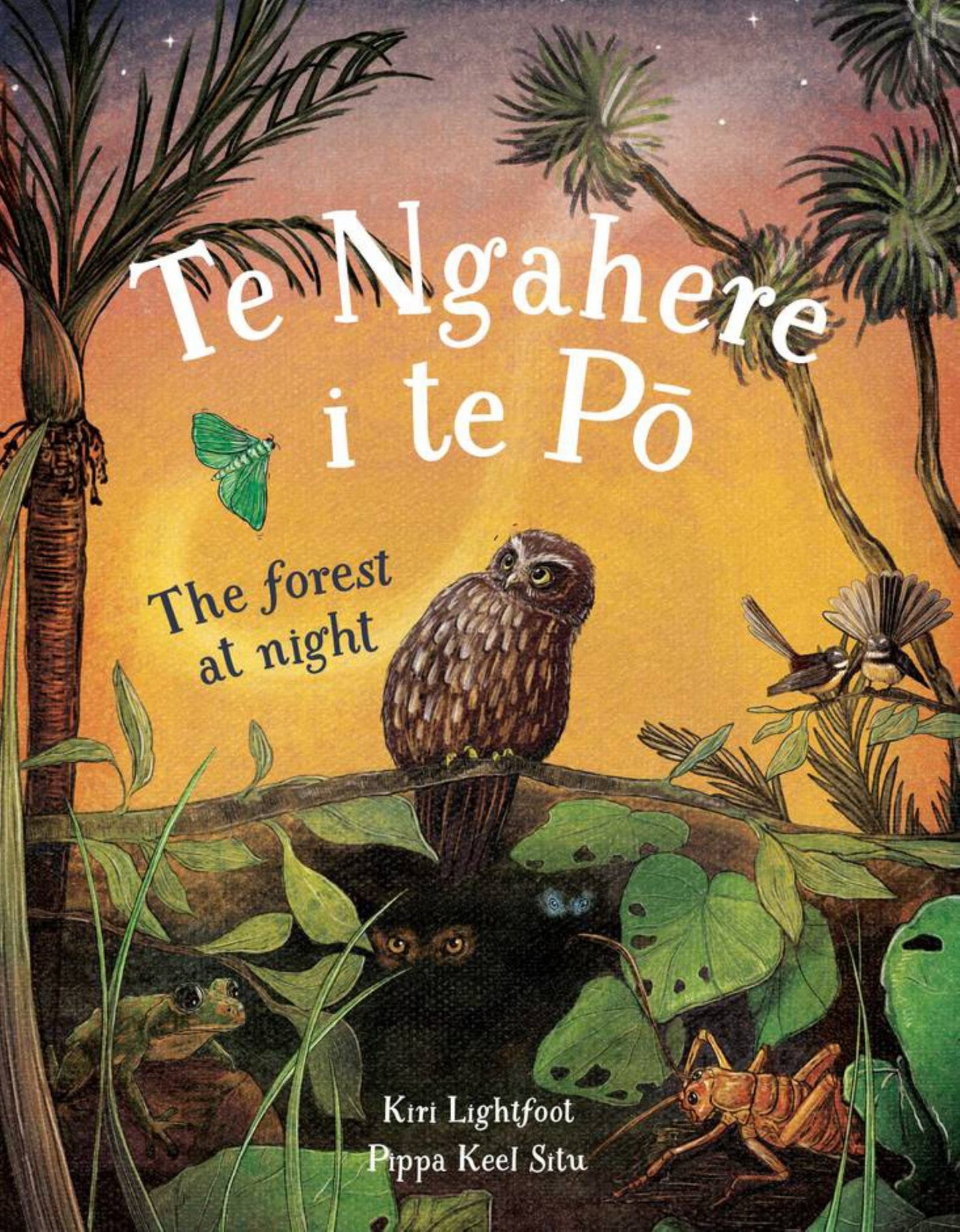 Te Ngahere I Te Pō the Forest at Night Cover Image