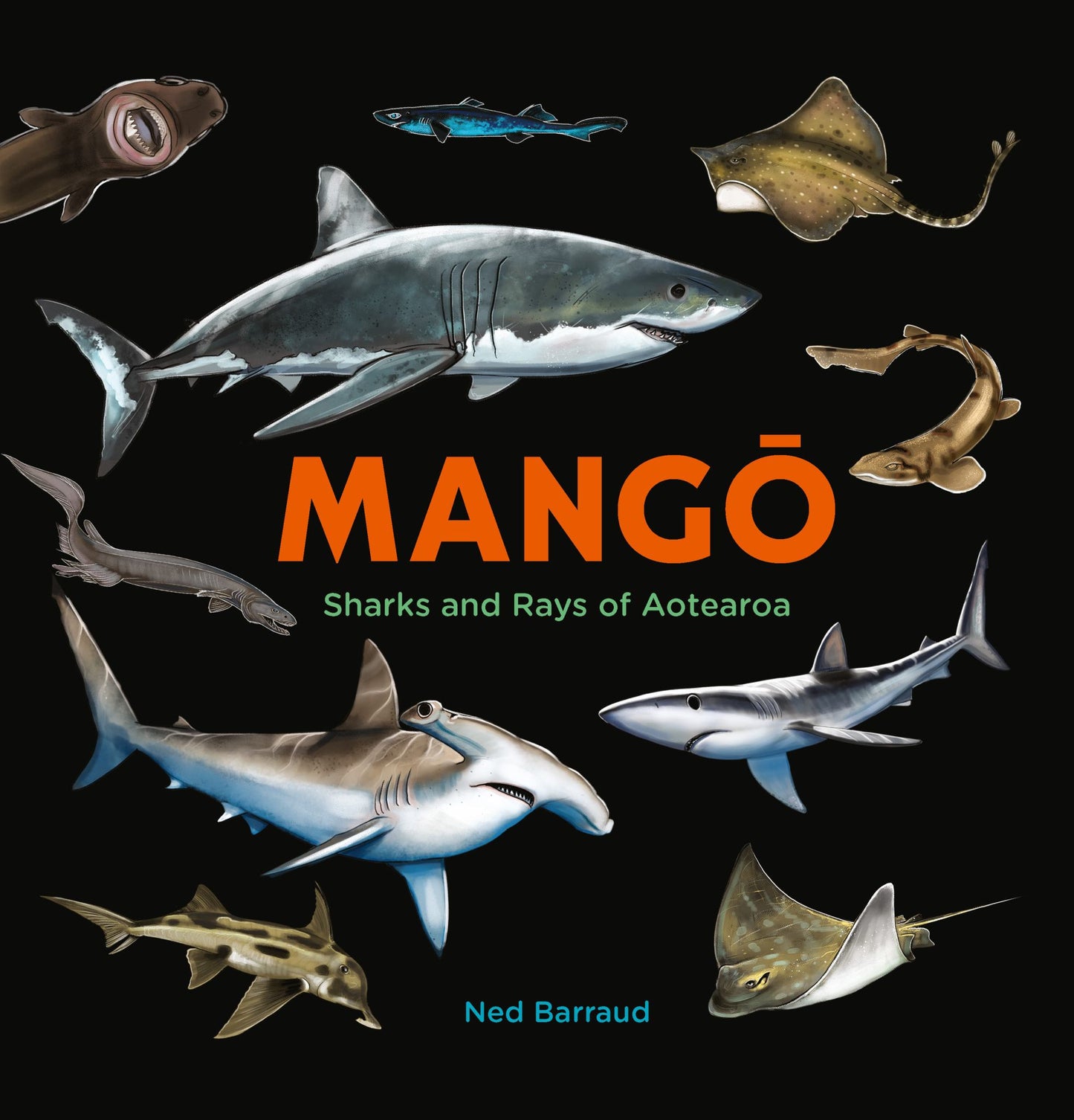 Mango Cover Image