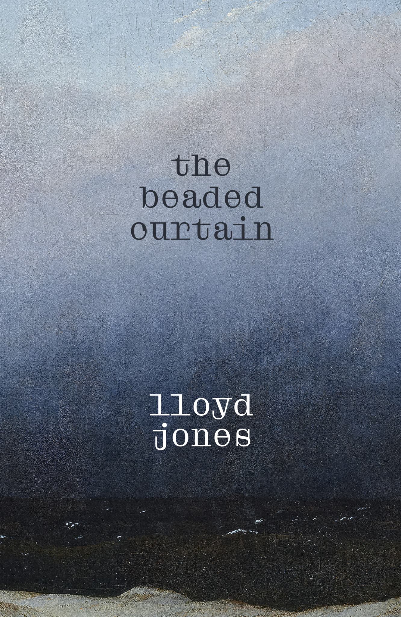 The Beaded Curtain Cover Image