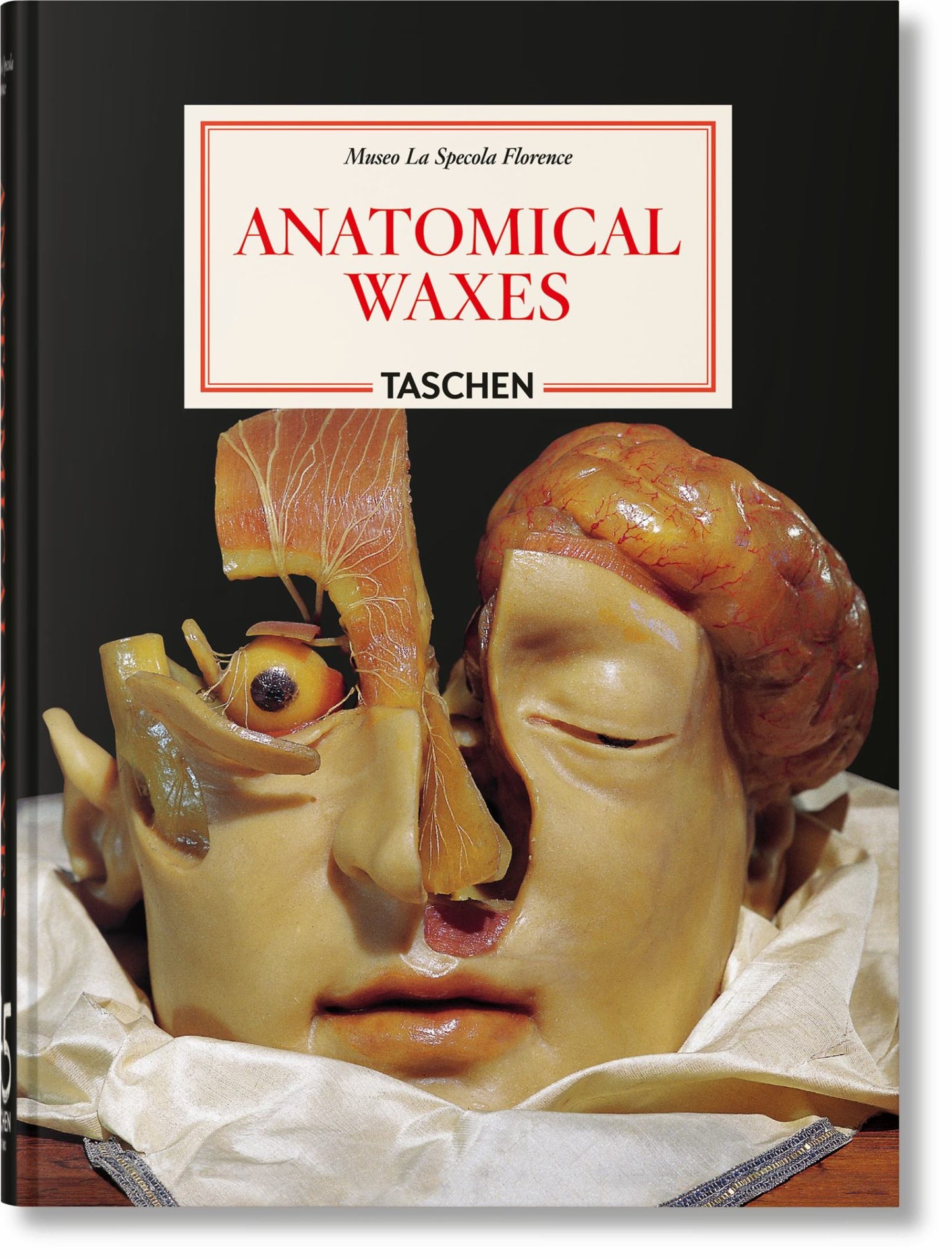 Anatomical Waxes. 45th Ed Cover Image