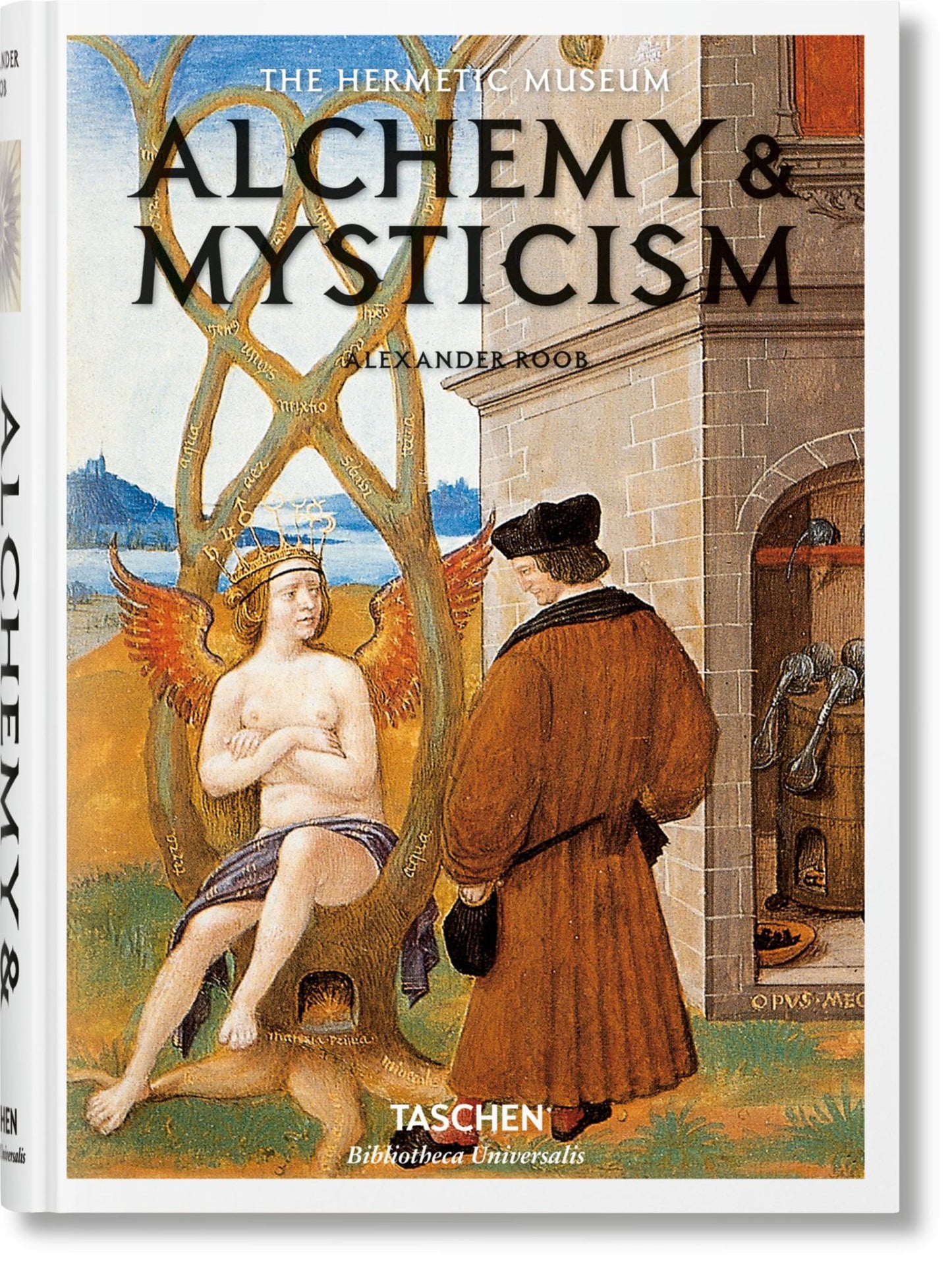 Alchemy and Mysticism Cover Image