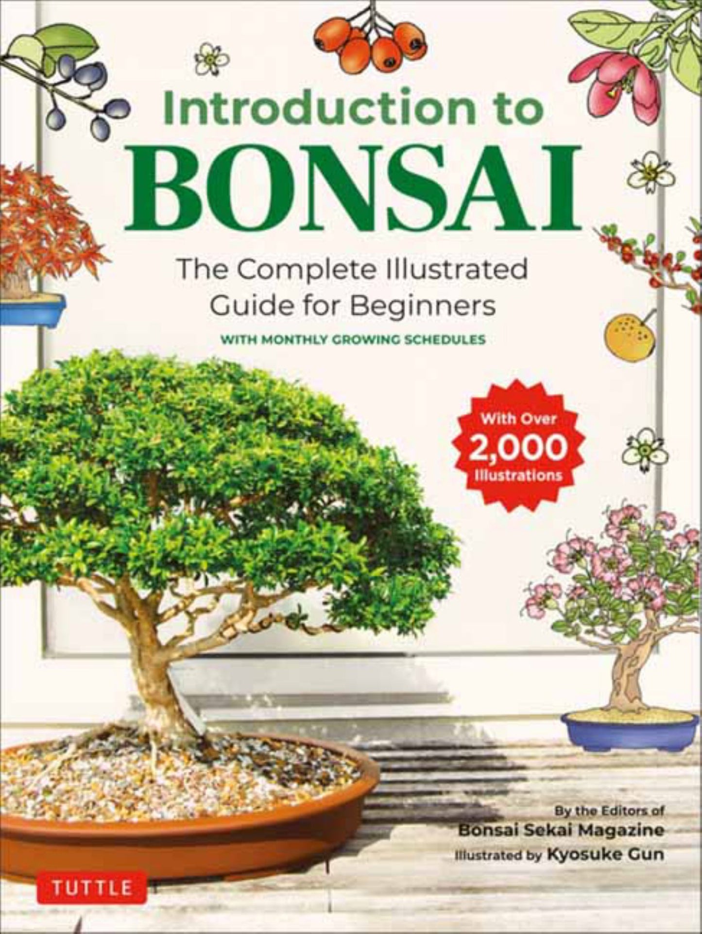 Introduction to Bonsai Cover Image