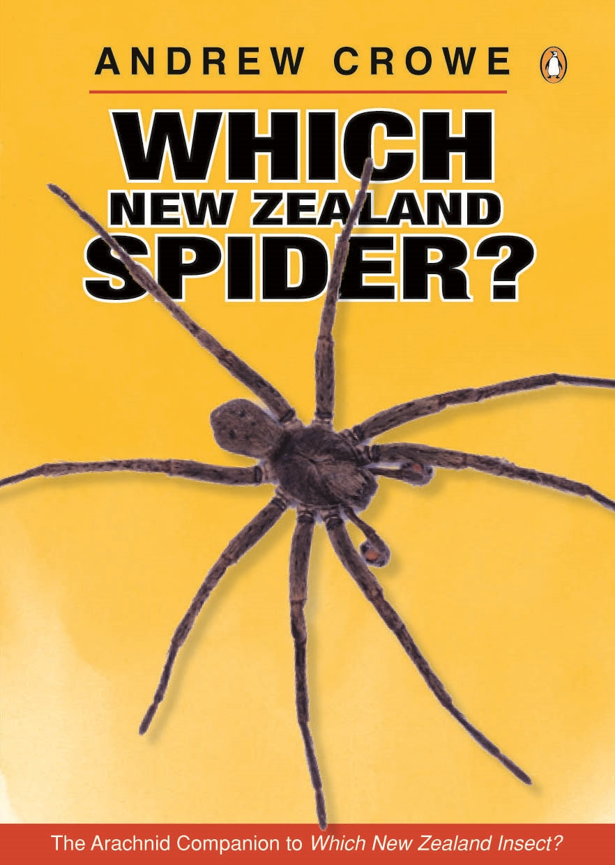 Which NZ Spider?