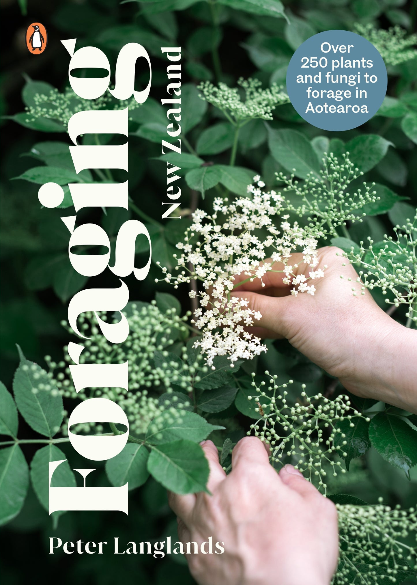 Foraging NZ: Over 250 Plants to Forage in Aotearoa
