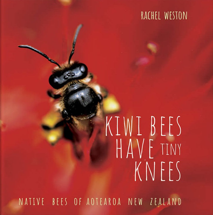 Kiwi Bees Have Tiny Knees