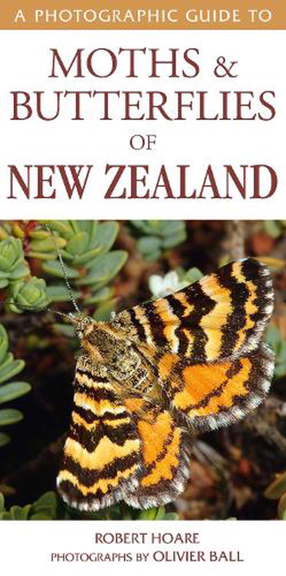 Photographic Guide to Moths & Butterflies of New Zealand