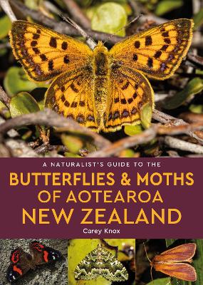 Naturalist's Guide to the Butterflies and Moths of Aotearoa New Zealand