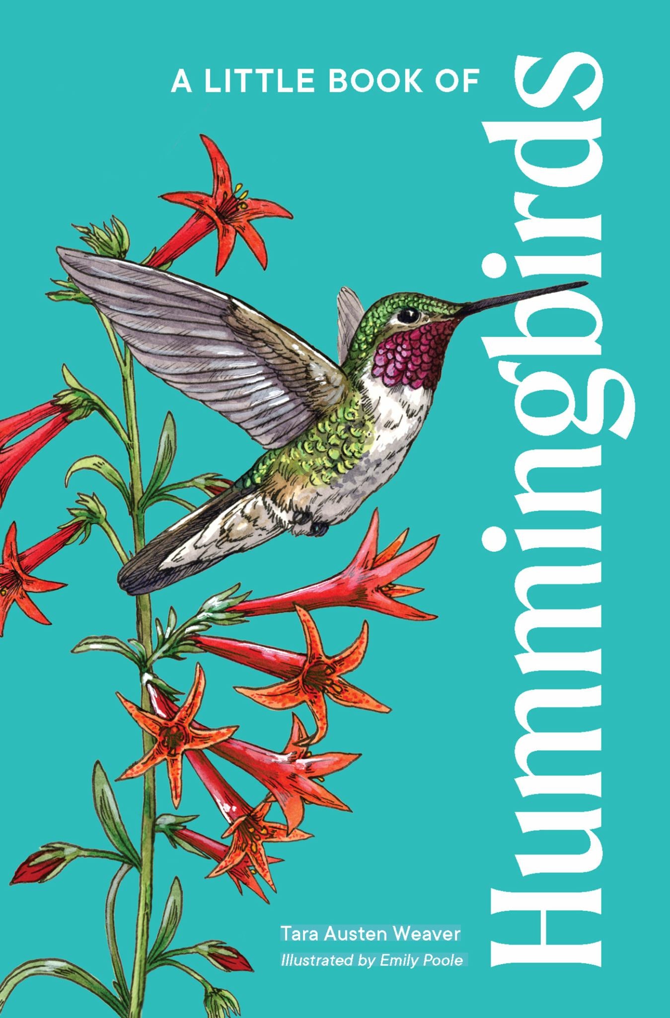 Little Book of Hummingbirds Cover Image