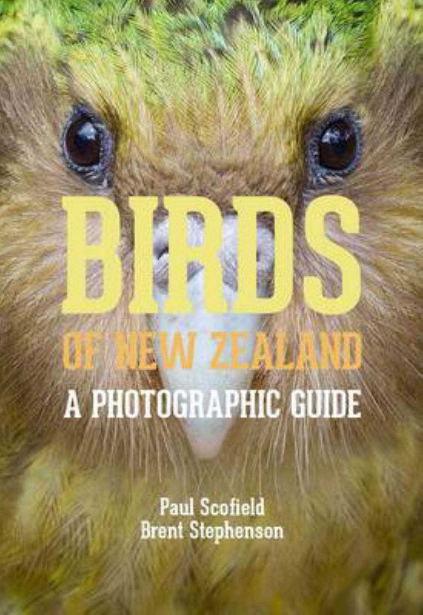 Birds of NZ : A Photographic Guide Cover Image