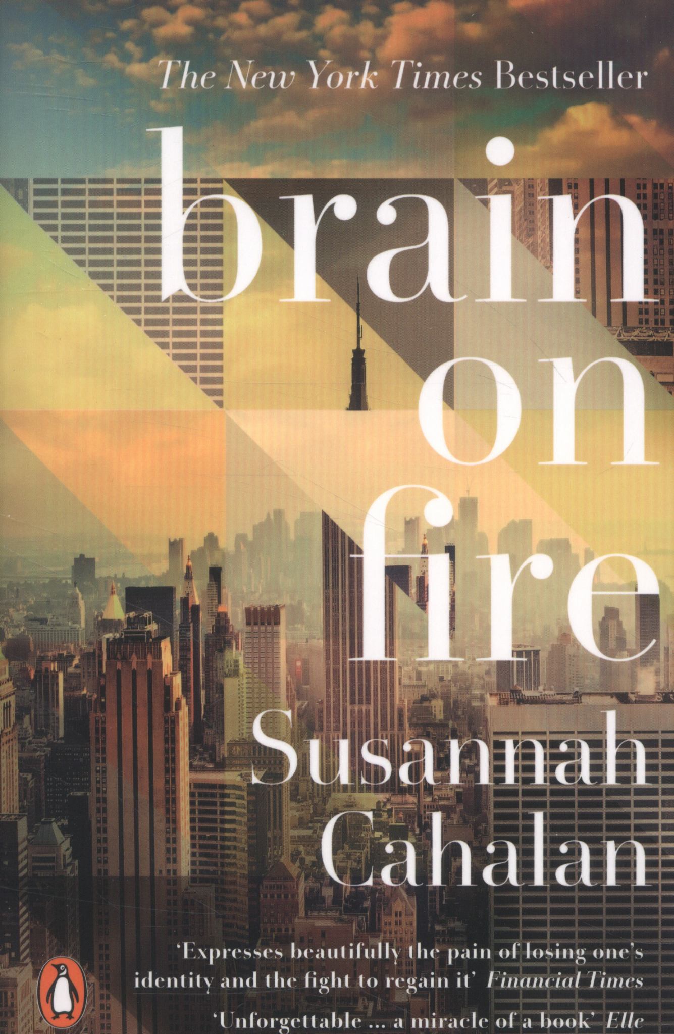 Brain on Fire: My Month of Madness Cover Image