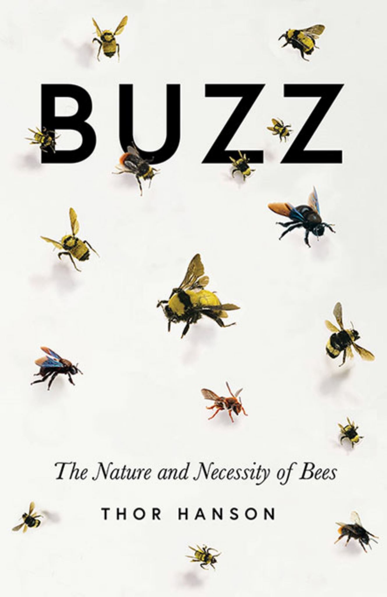 Buzz: the Nature and Necessity of Bees Cover Image