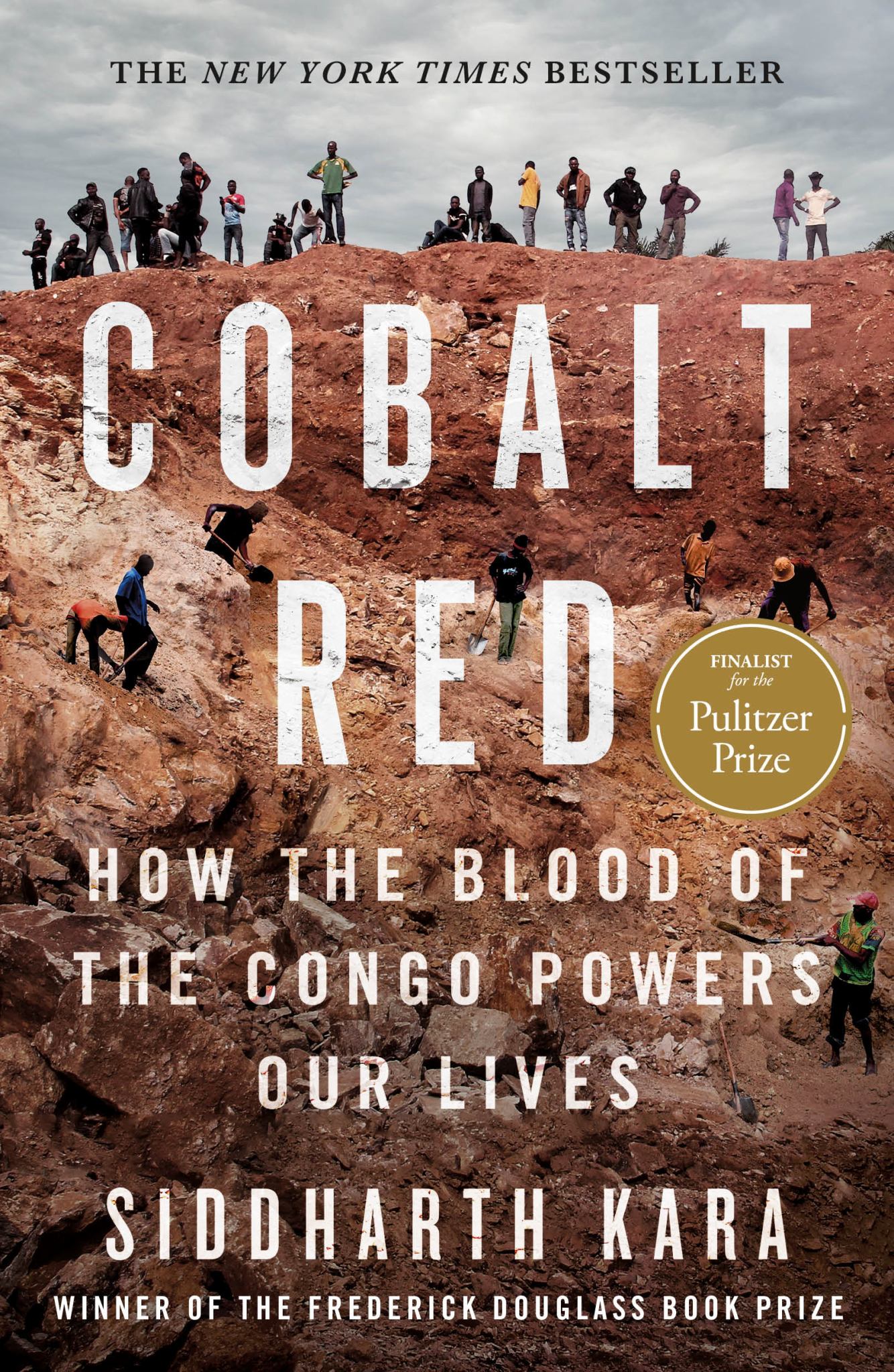 Cobalt Red How the Blood of the Congo Powers Our Lives Cover Image