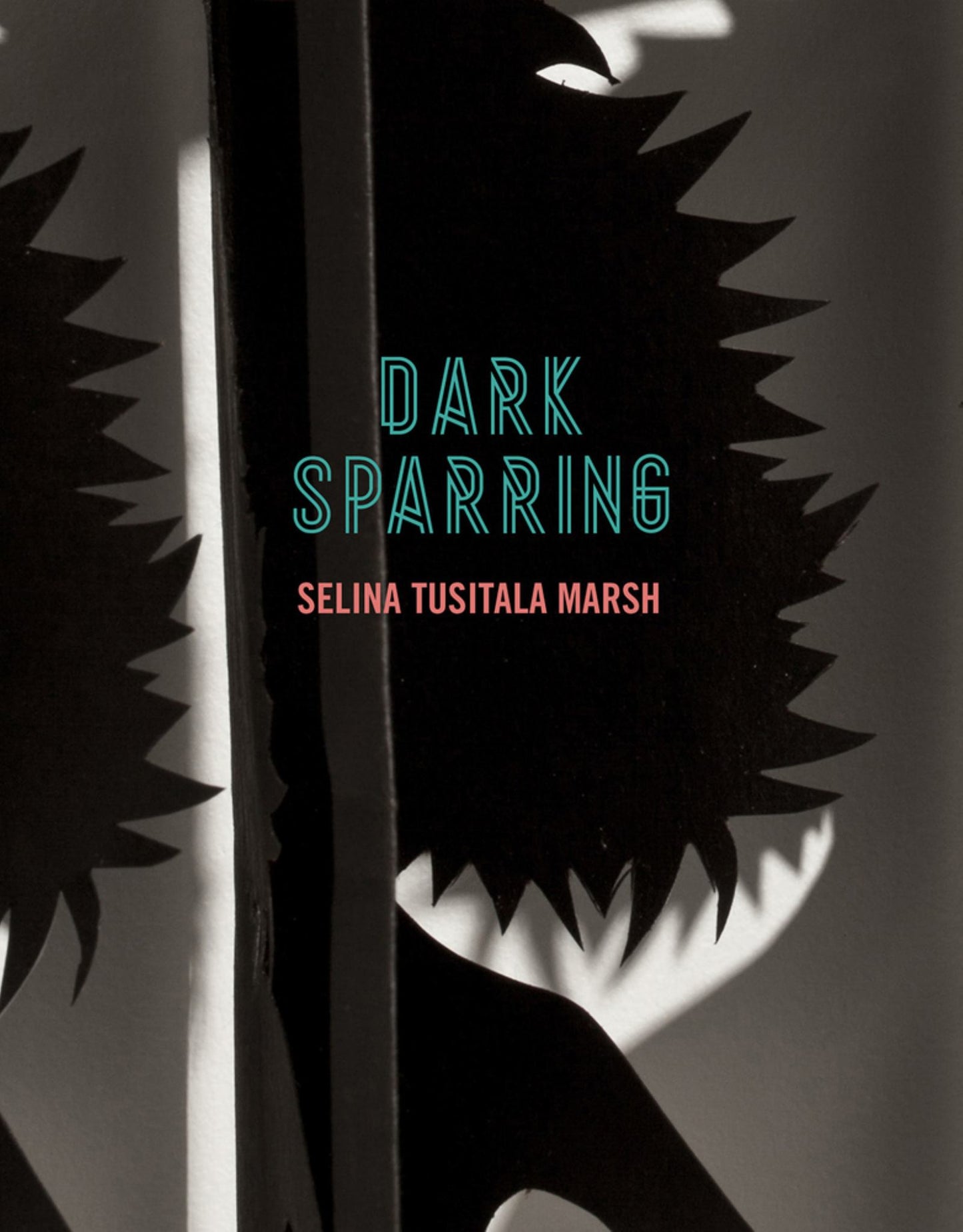 Dark Sparring Cover Image
