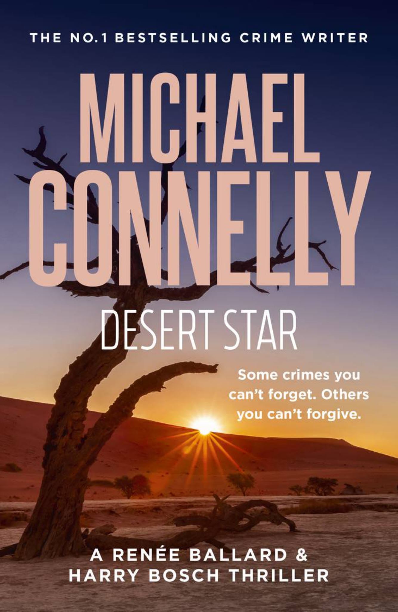 Desert Star Cover Image