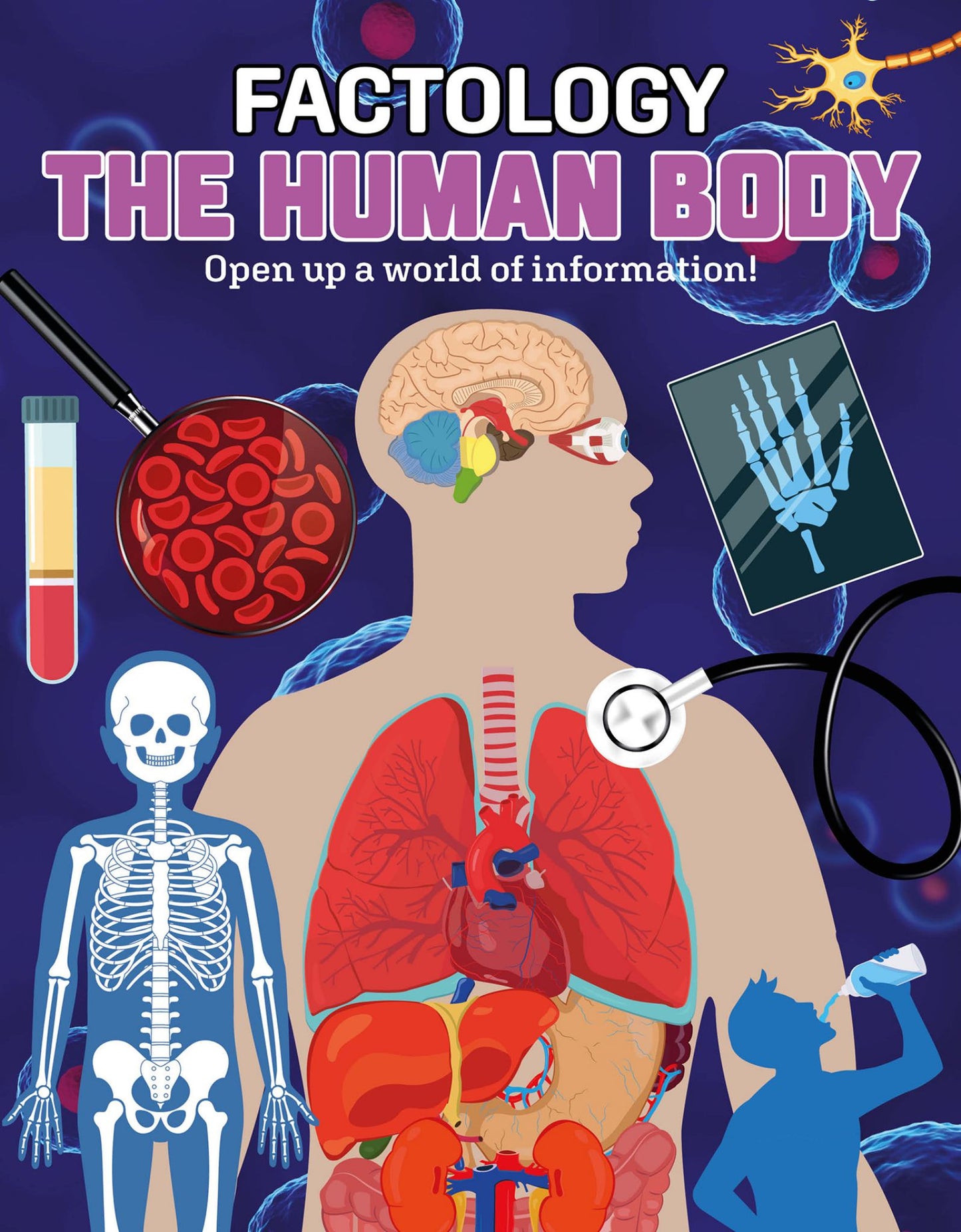 Factology : The Human Body Cover Image