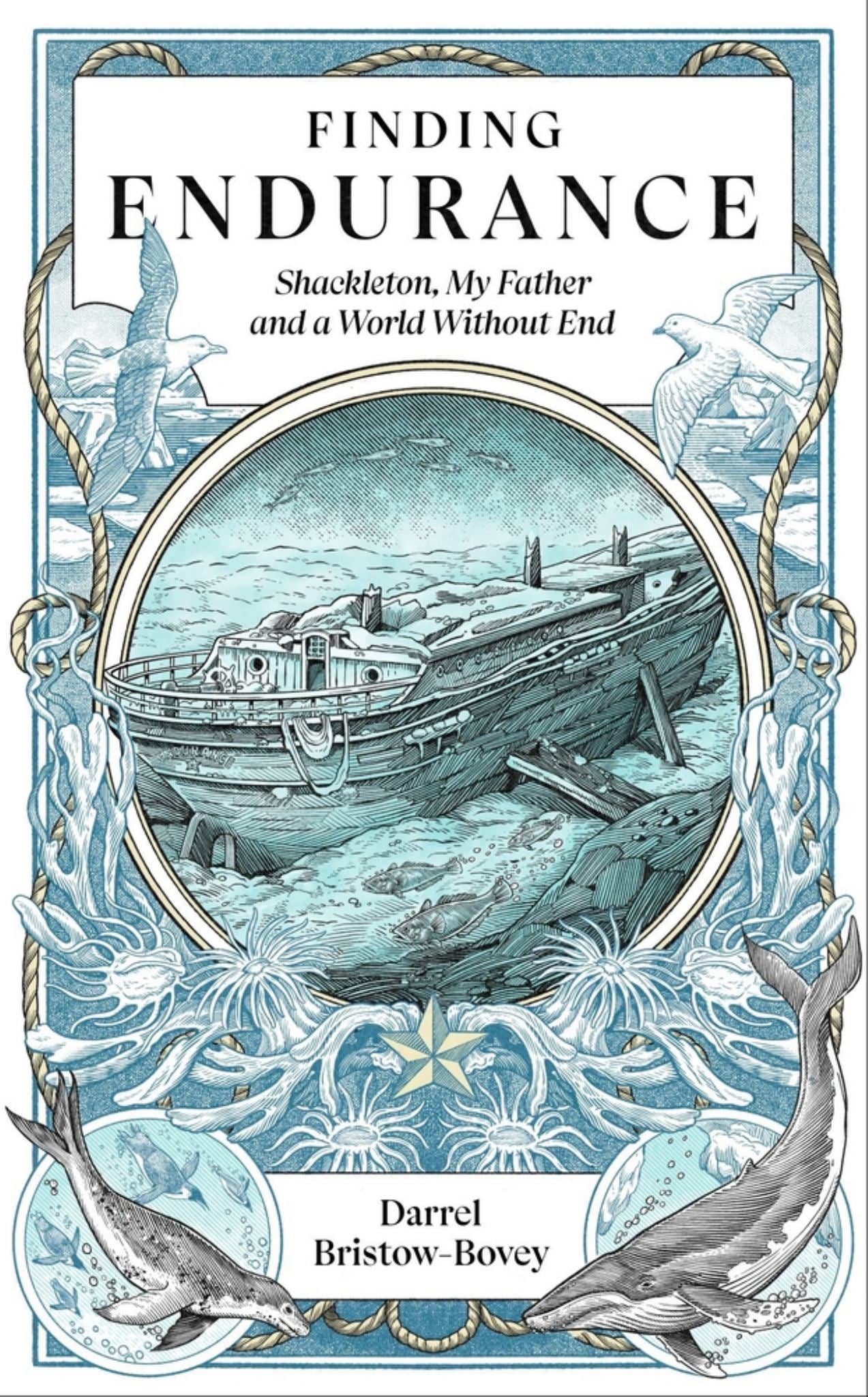 Finding Endurance Cover Image