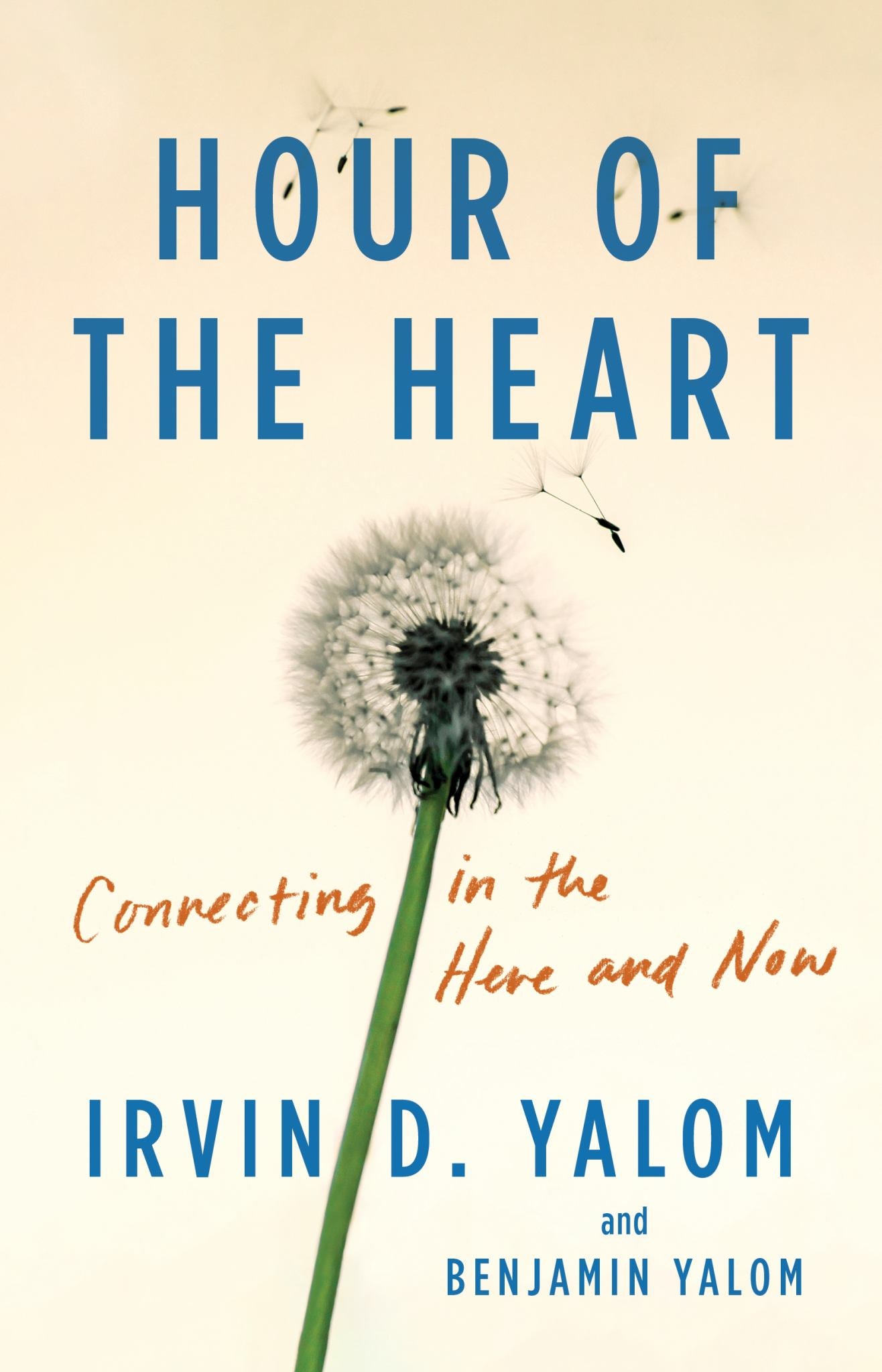 Hour of the Heart: Empathy & Connection in the Here-&-Now Cover Image