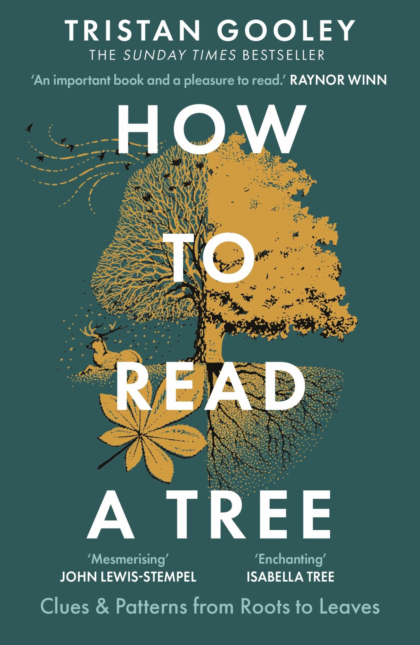 How to Read a Tree Cover Image