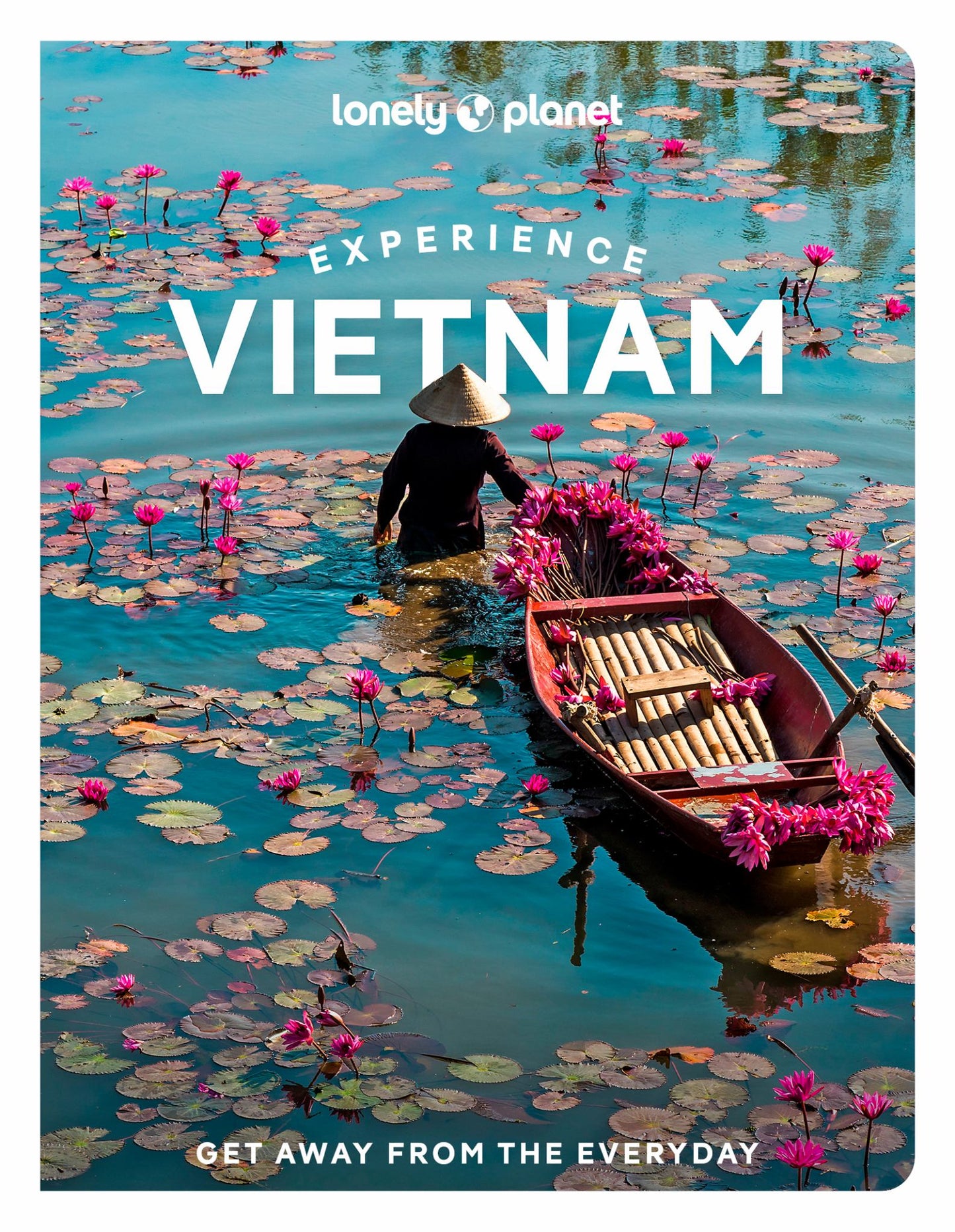 Vietnam Experience LP 1ed Cover Image