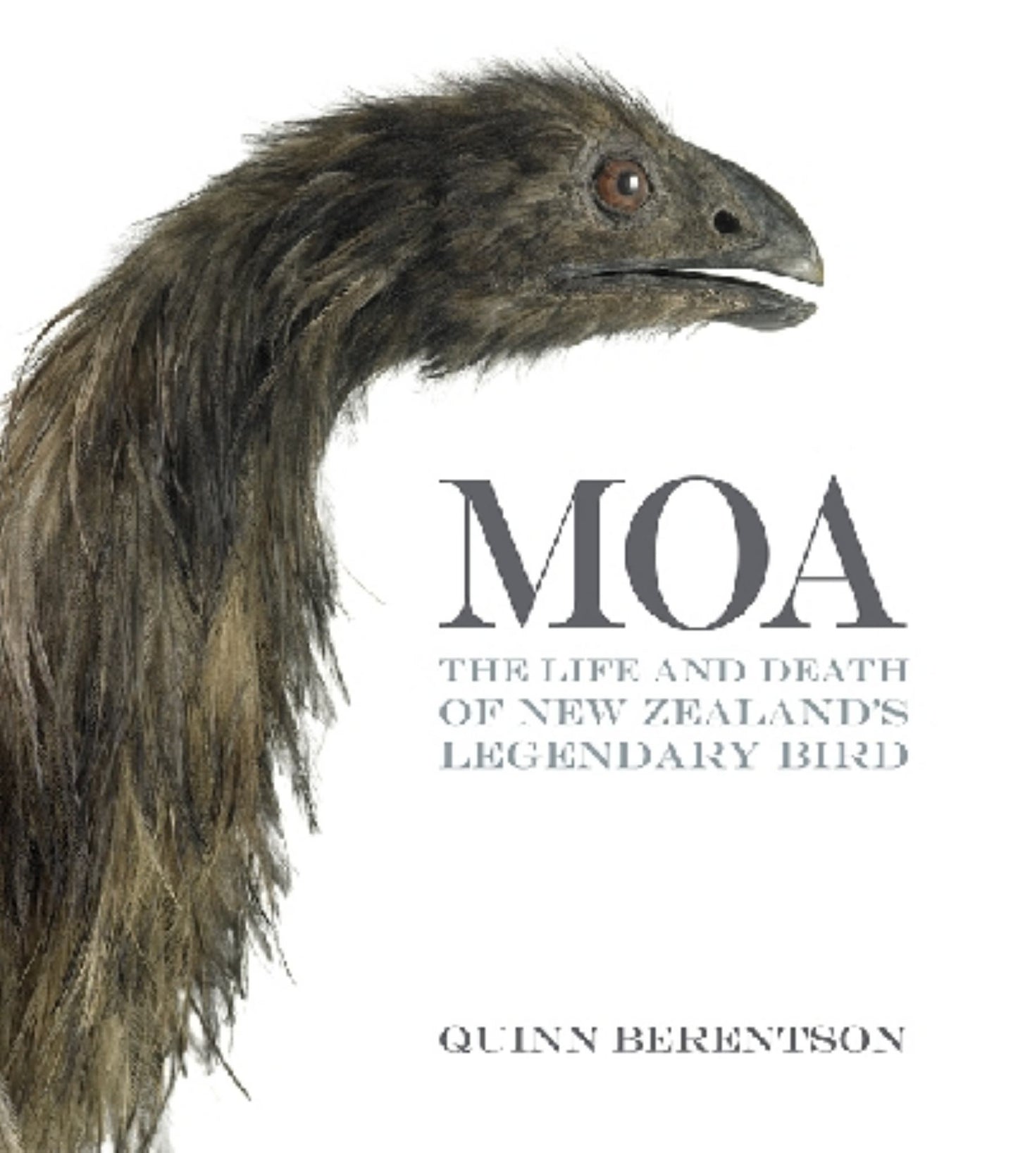 Moa : the Life and Death of New Zealand's Legendary Bird Cover Image