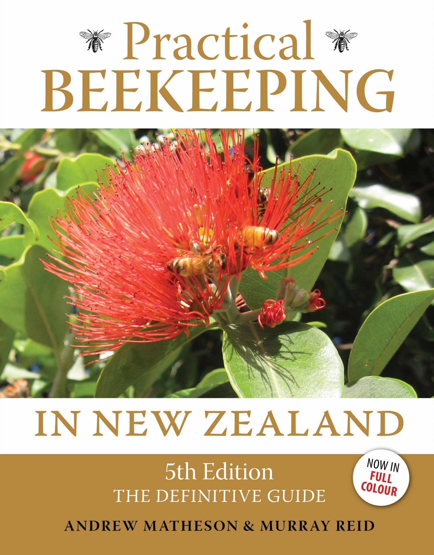 Practical Beekeeping in New Zealand : The Definitive Guide Cover Image