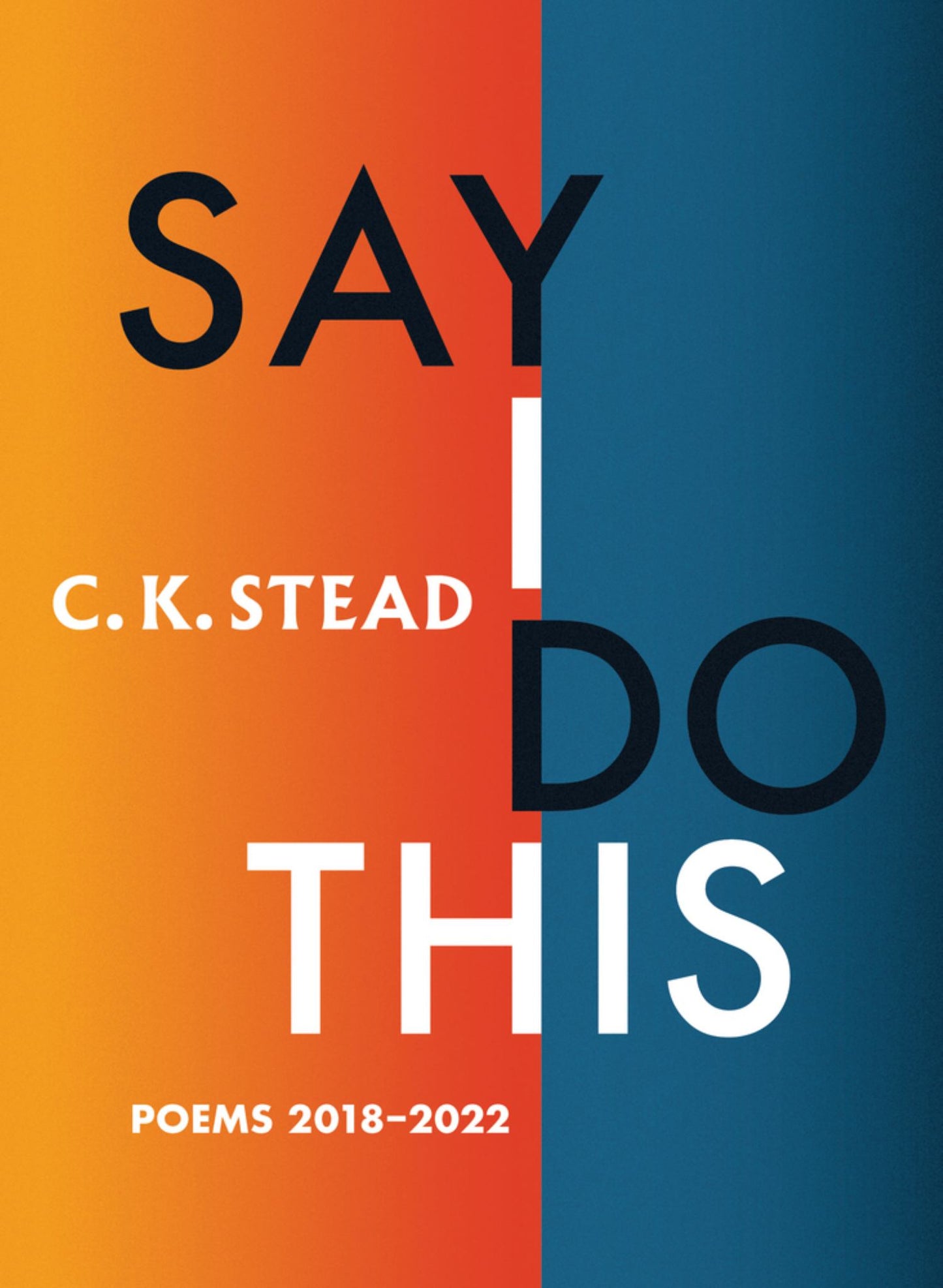 Say I do this : Poems 2018-2022 Cover Image