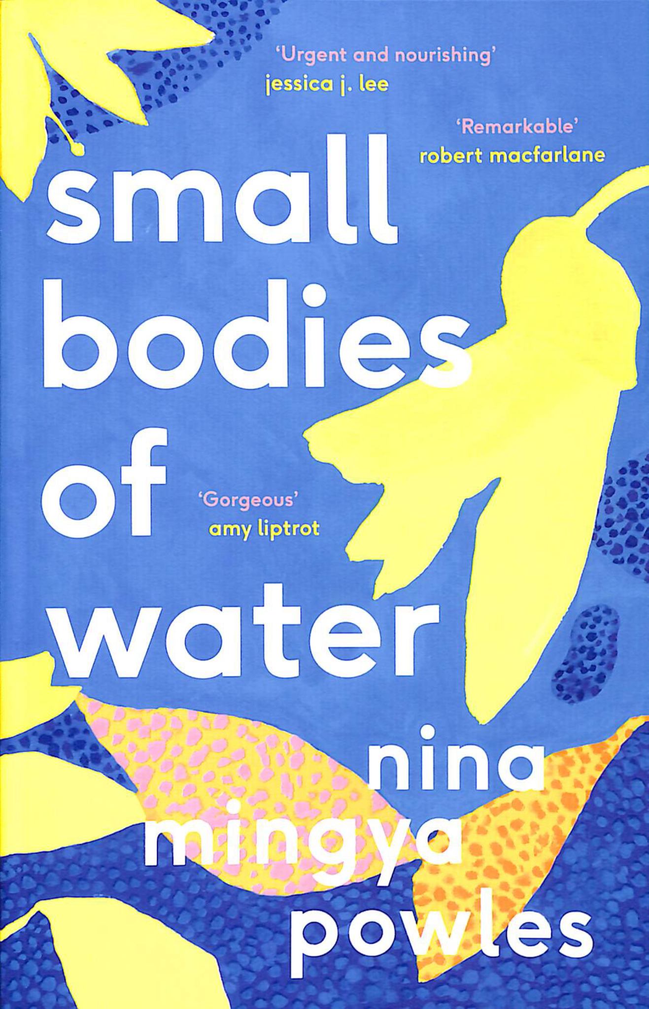 Small Bodies of Water Cover Image